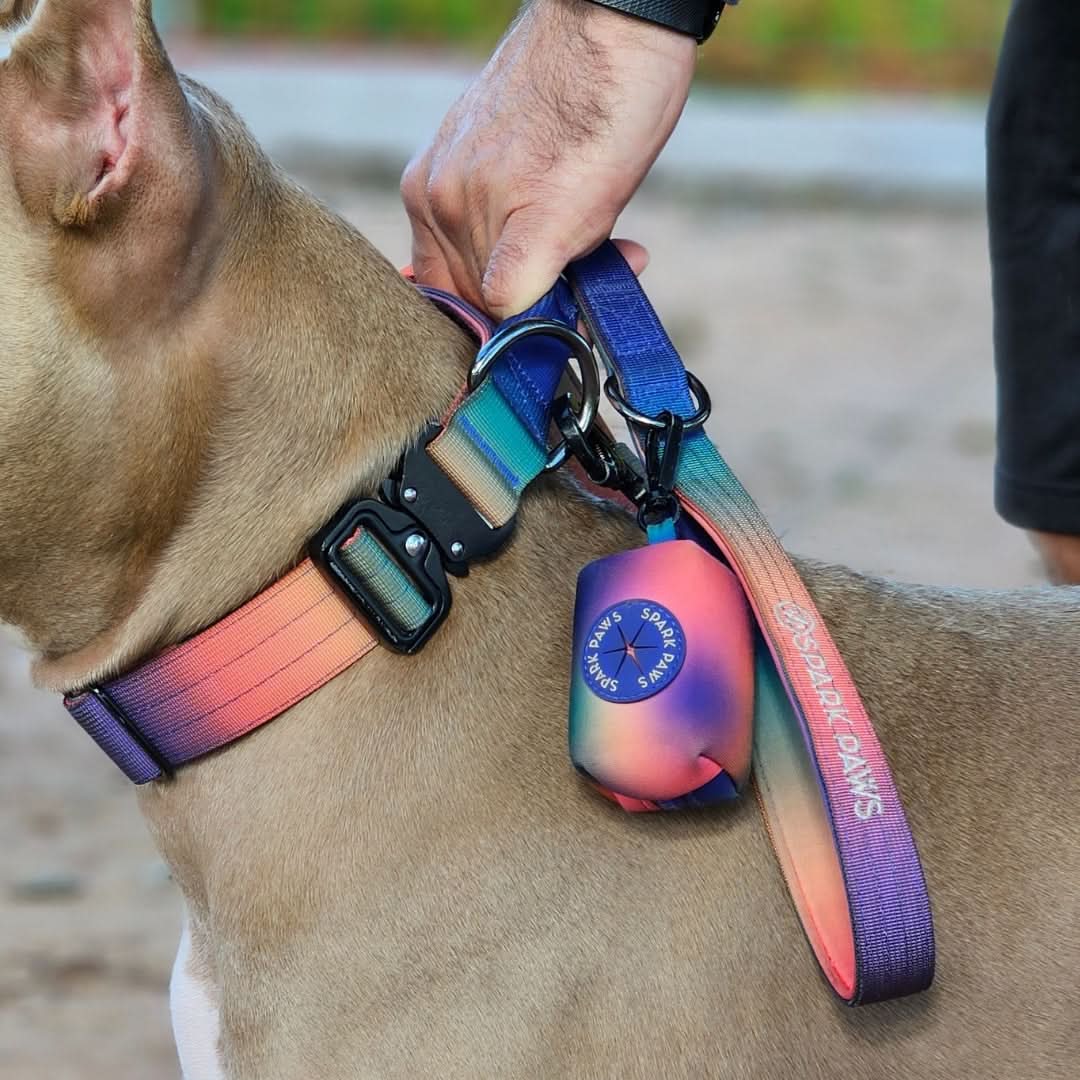 Leash and Poop Bag Holder Set - Kaleidoscope - Image 3