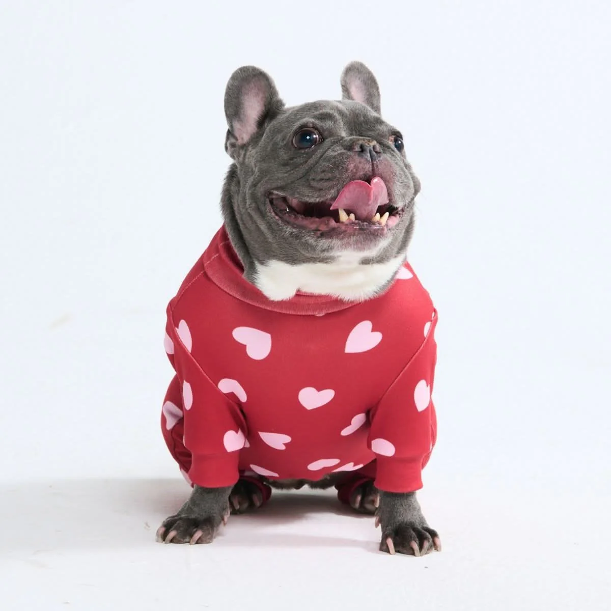 Dog Pajama Prints - Image 23