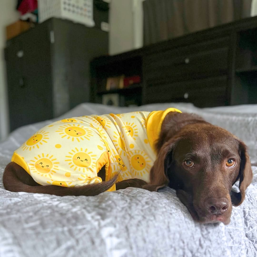 Dog Pajama Prints - Image 30