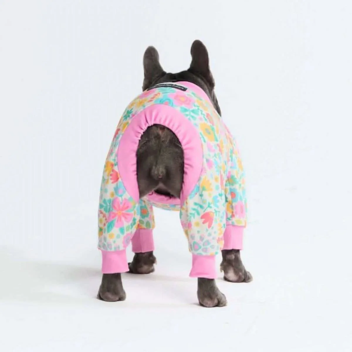 Dog Pajama Prints - Image 49