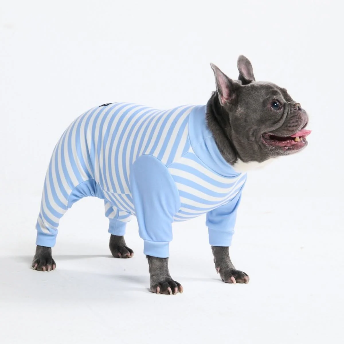 Dog Pajama Prints - Image 62