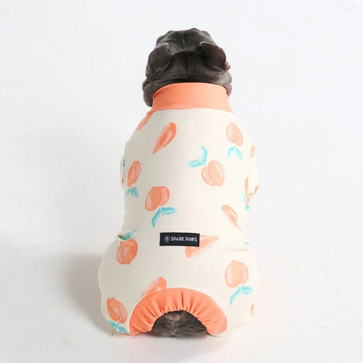 Dog Pajama Prints - Image 65