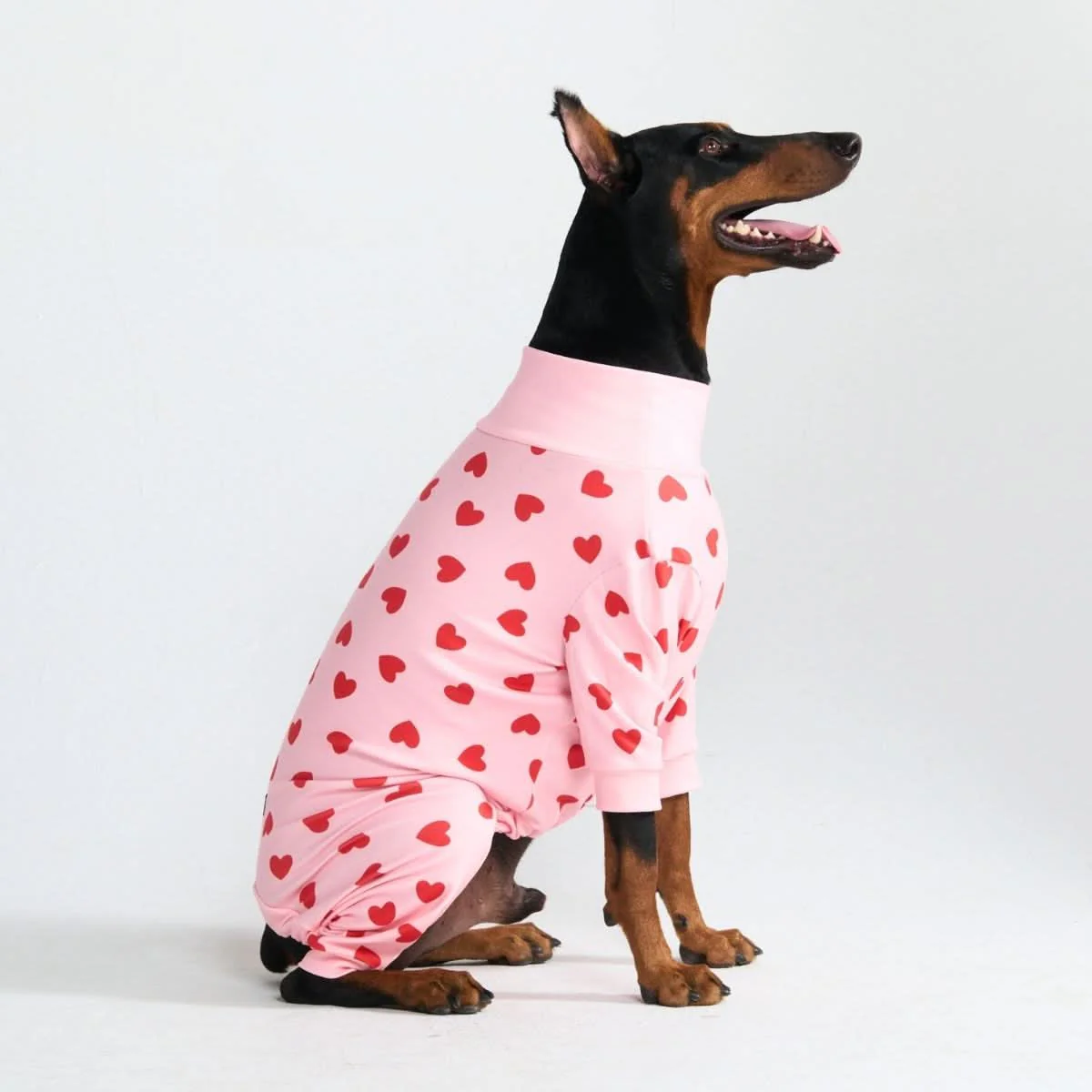 Dog Pajama Prints - Image 74