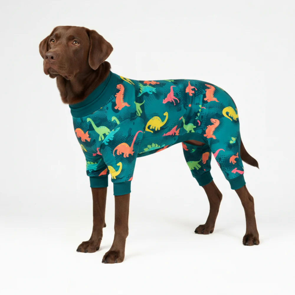 Dog Pajama - Dinosaurs - Image 5