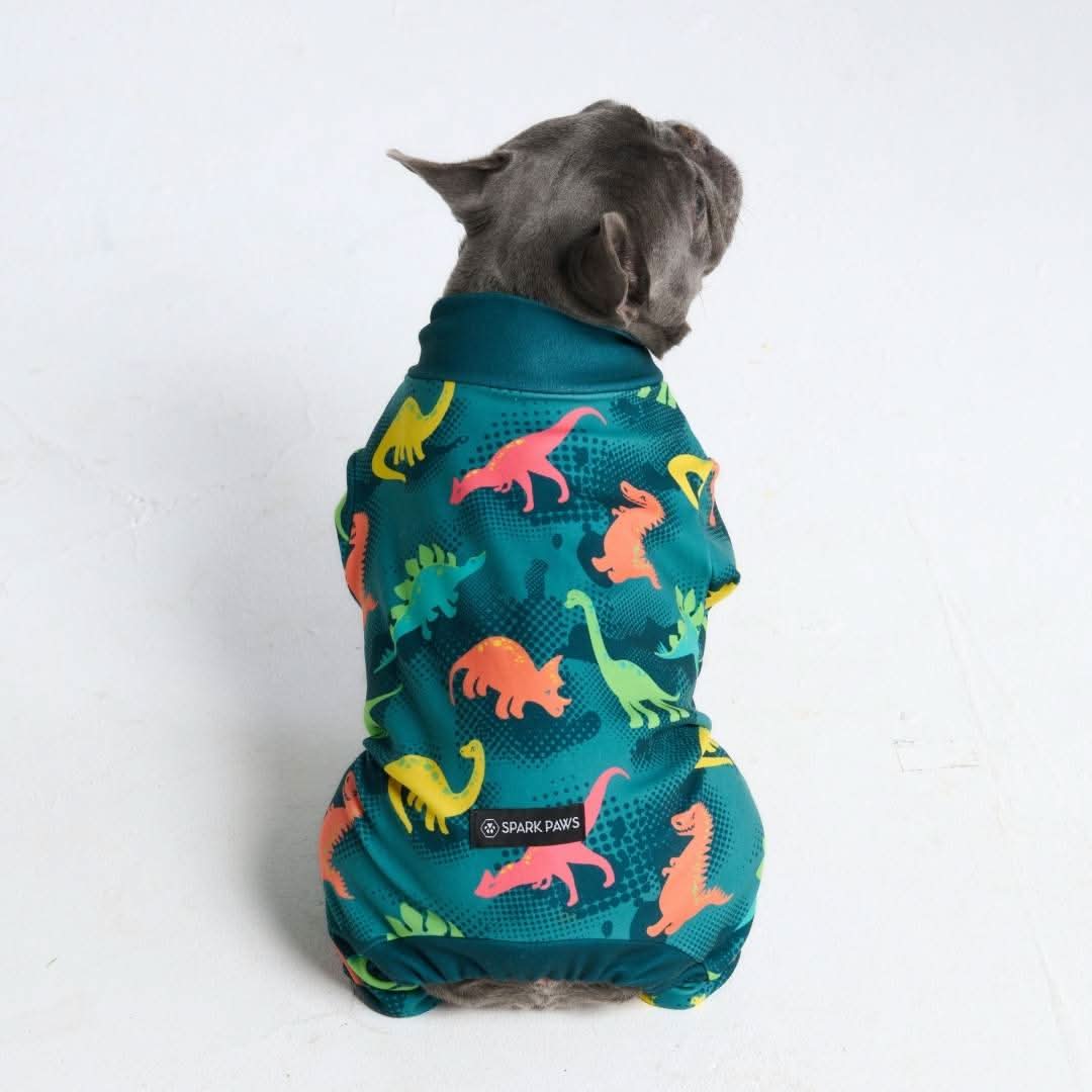 Dog Pajama - Dinosaurs - Image 9