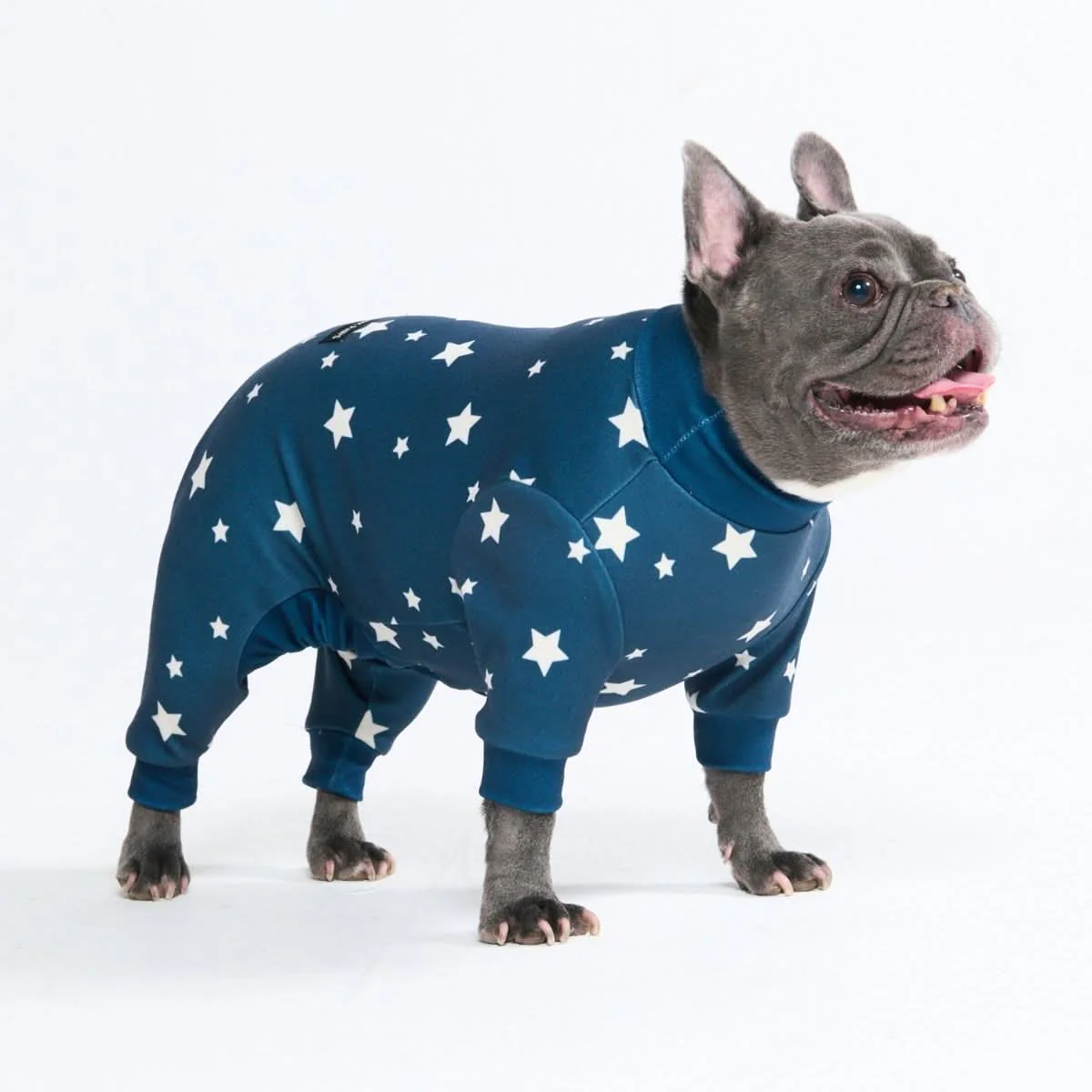 Dog Pajama Prints - Image 11