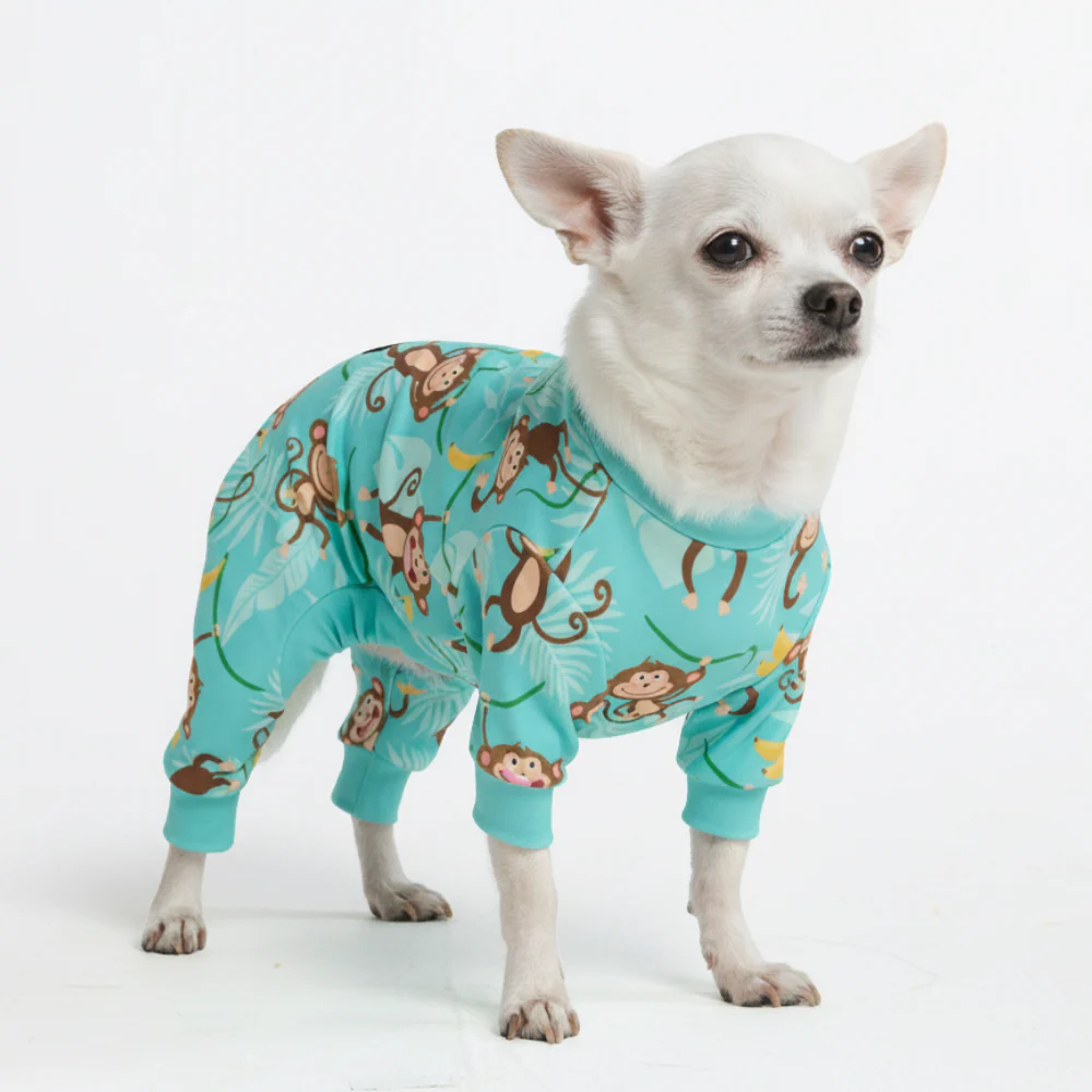Dog Pajama Prints - Image 36