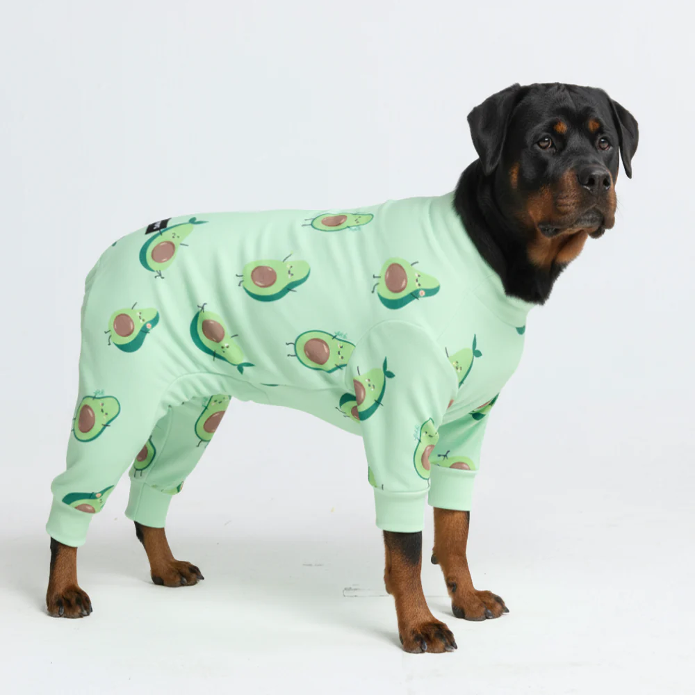 Dog Pajama Prints - Image 57