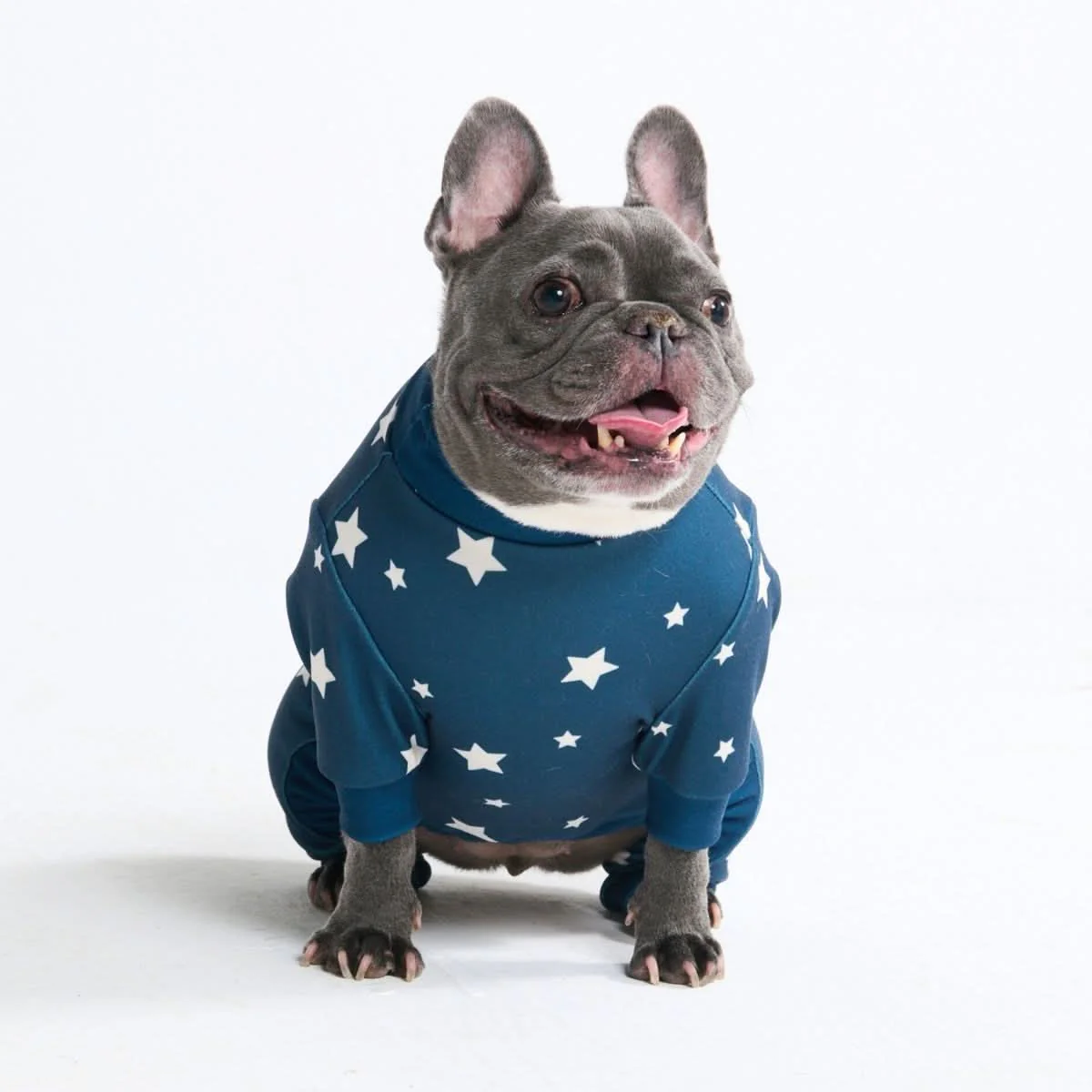 Dog Pajama - Stars - Image 6