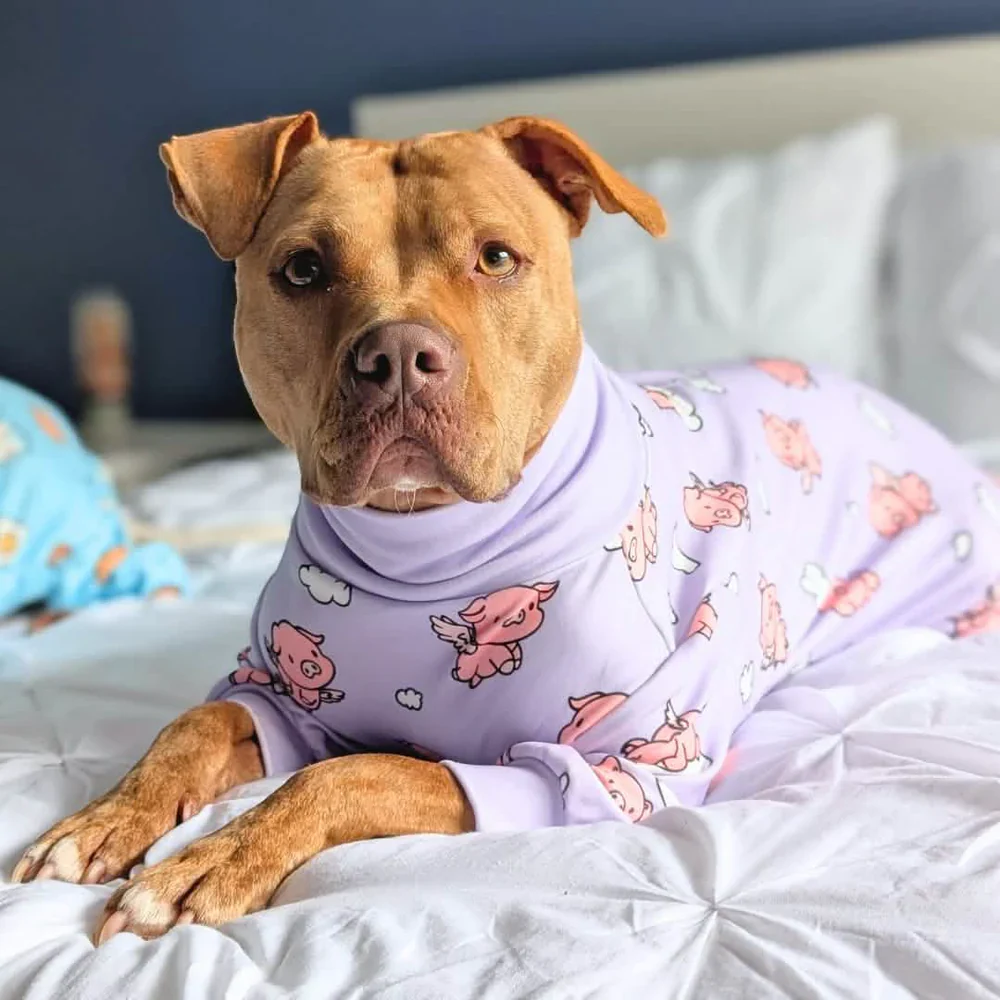 Dog Pajama Prints - Image 12