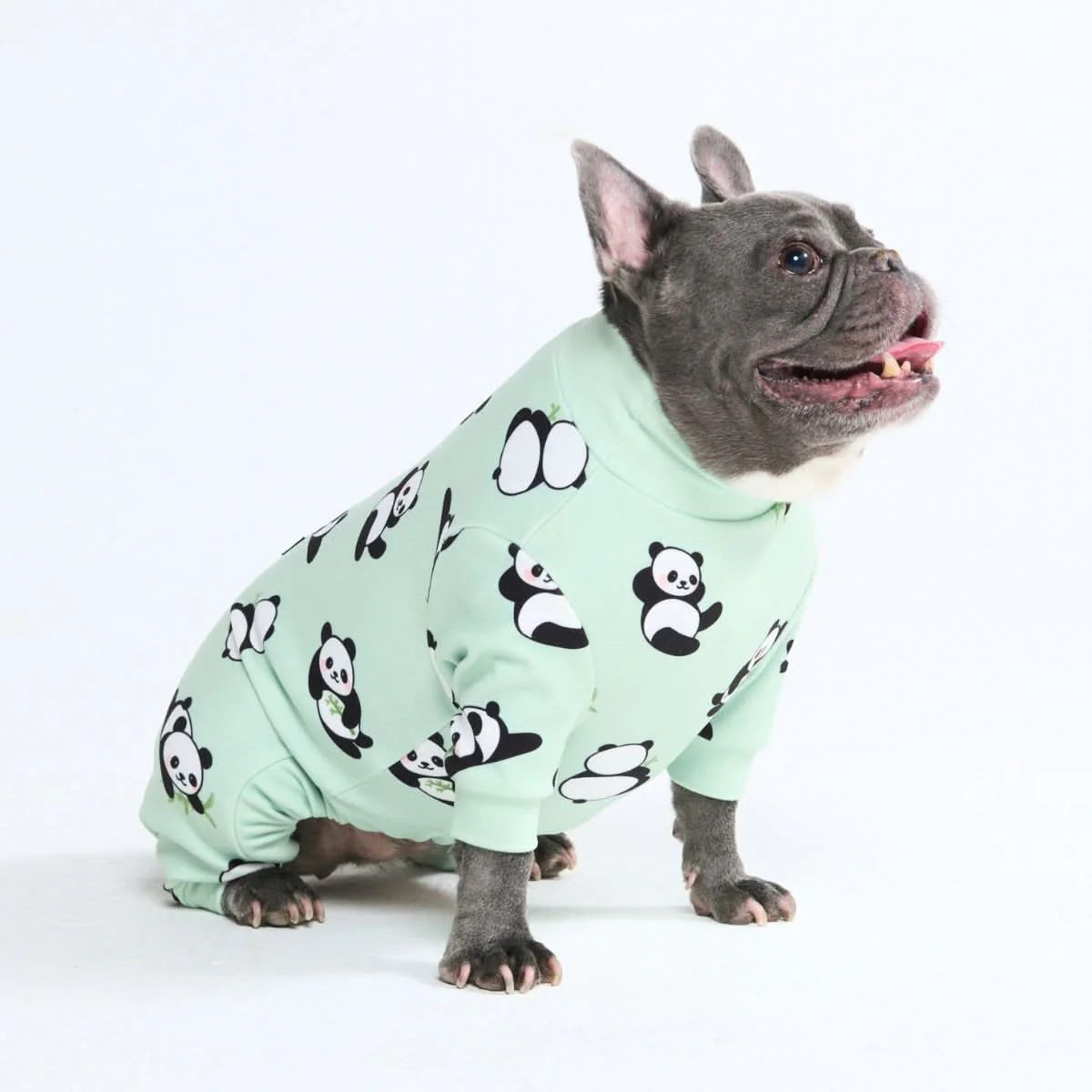 Dog Pajama Prints - Image 18