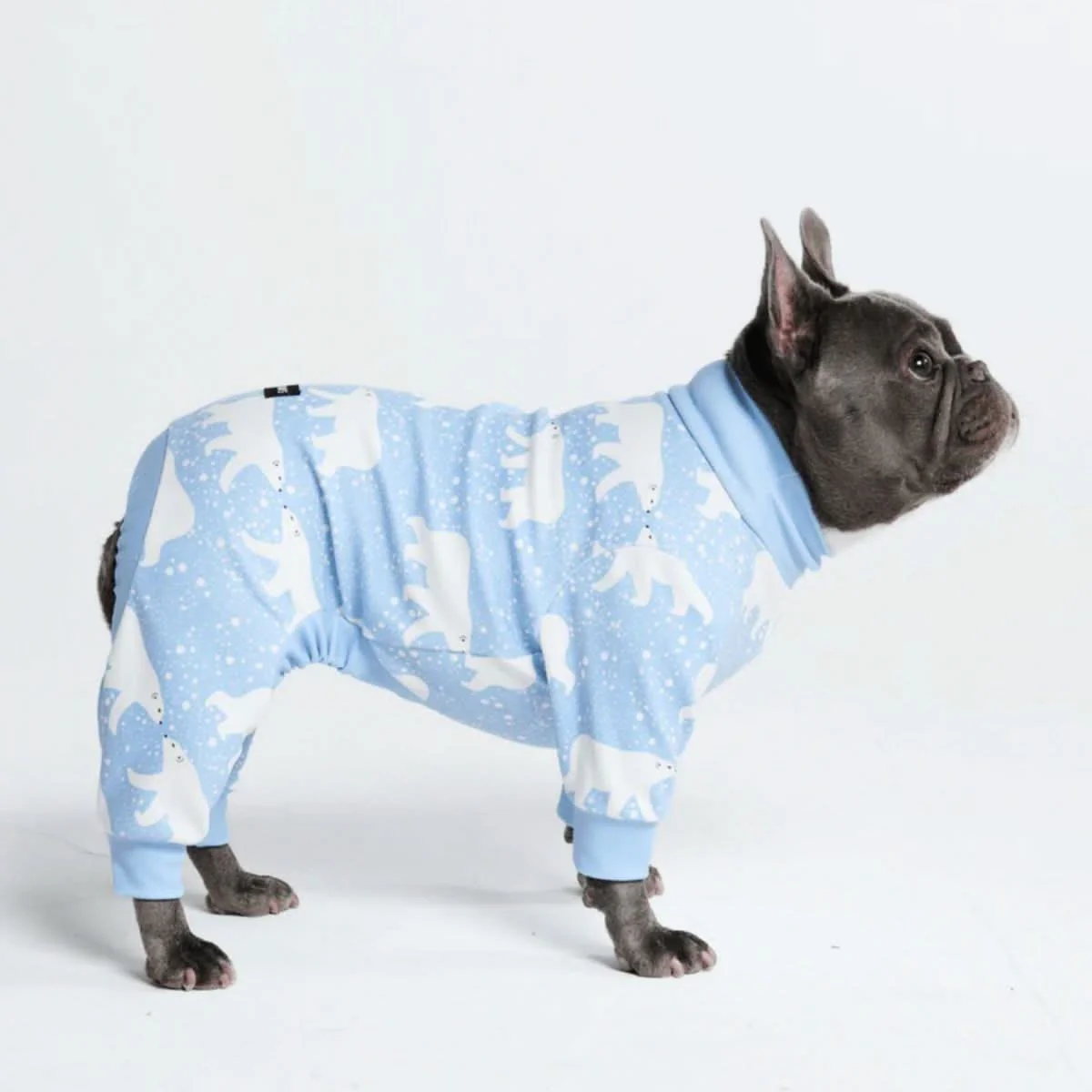 Dog Pajama Prints - Image 46