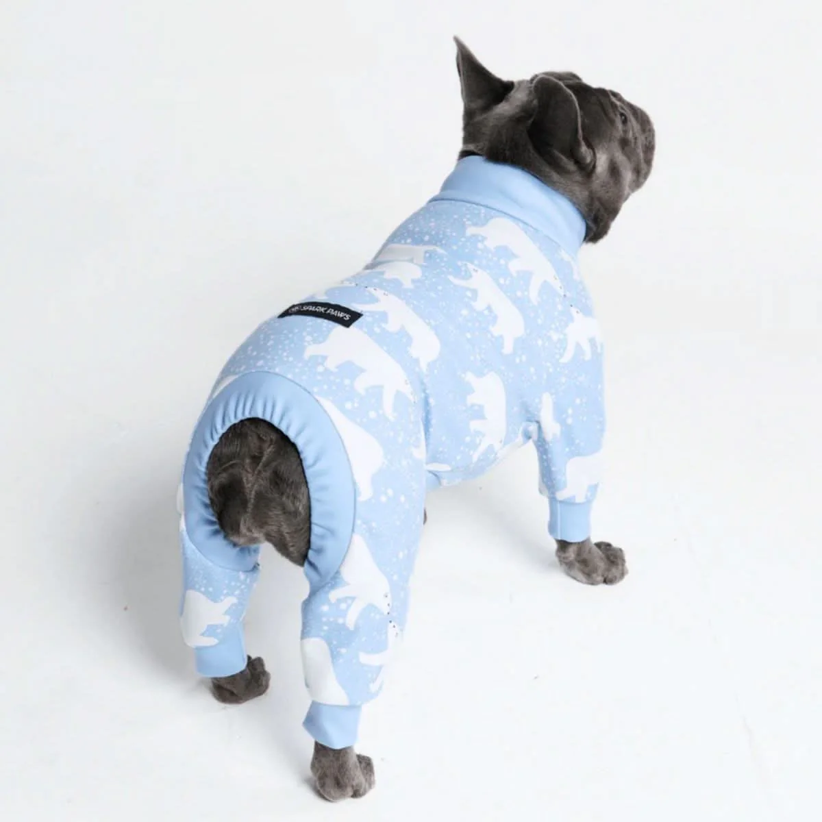 Dog Pajama Prints - Image 50