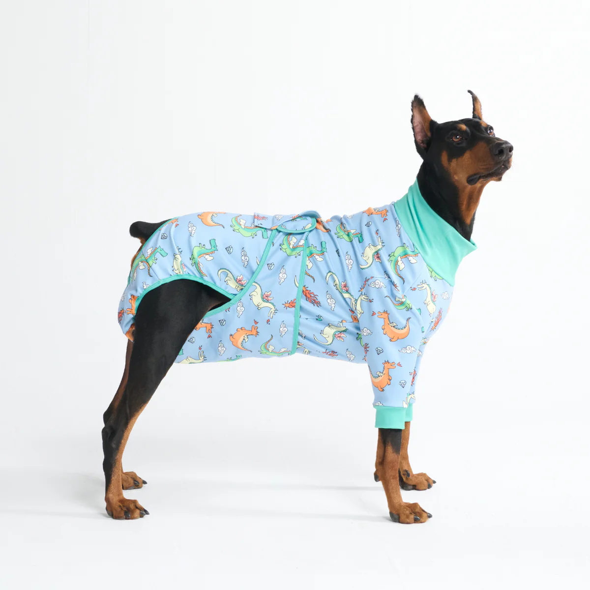 Dog Surgical Suit - Dragons - Image 5