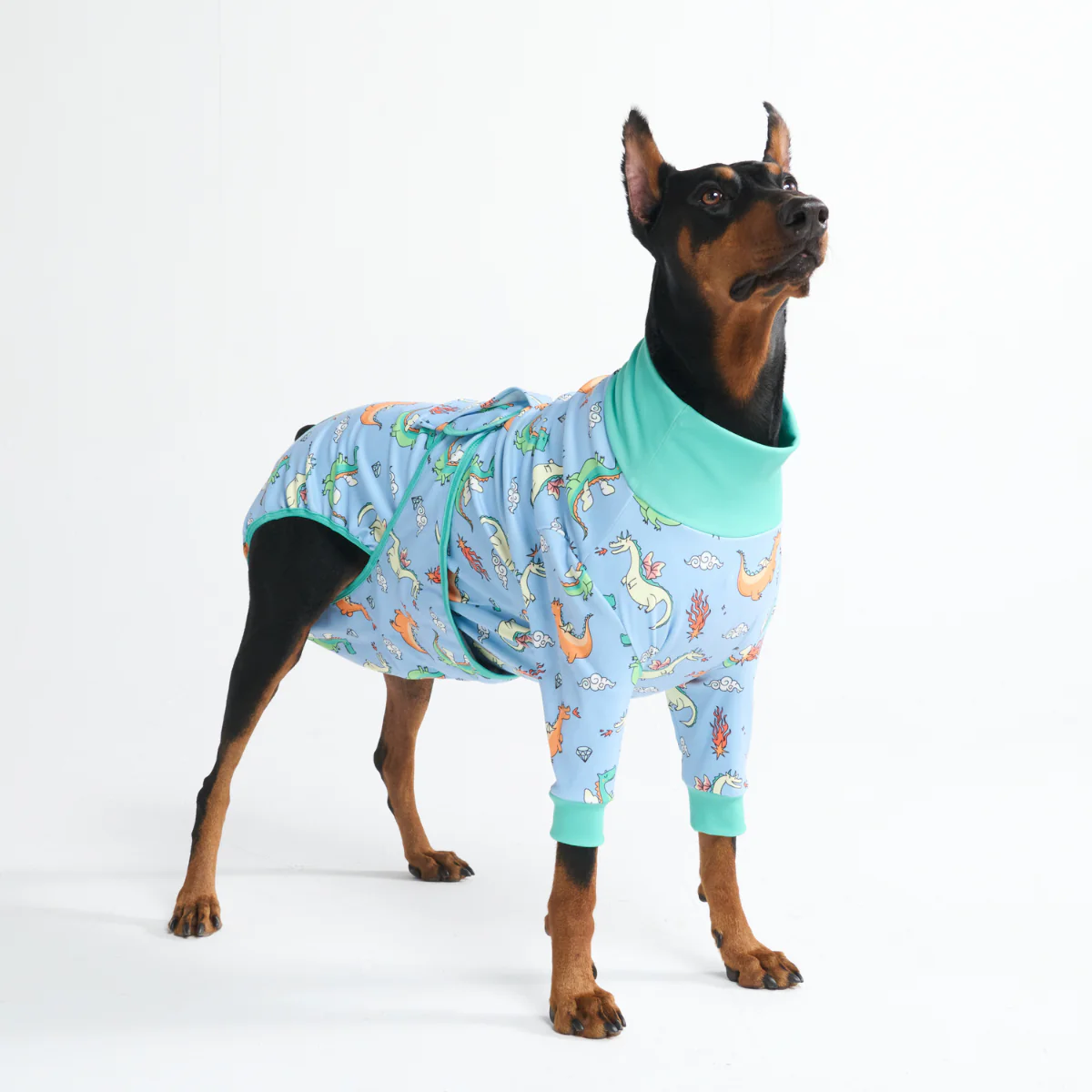 Dog Surgical Suit - Dragons - Image 11
