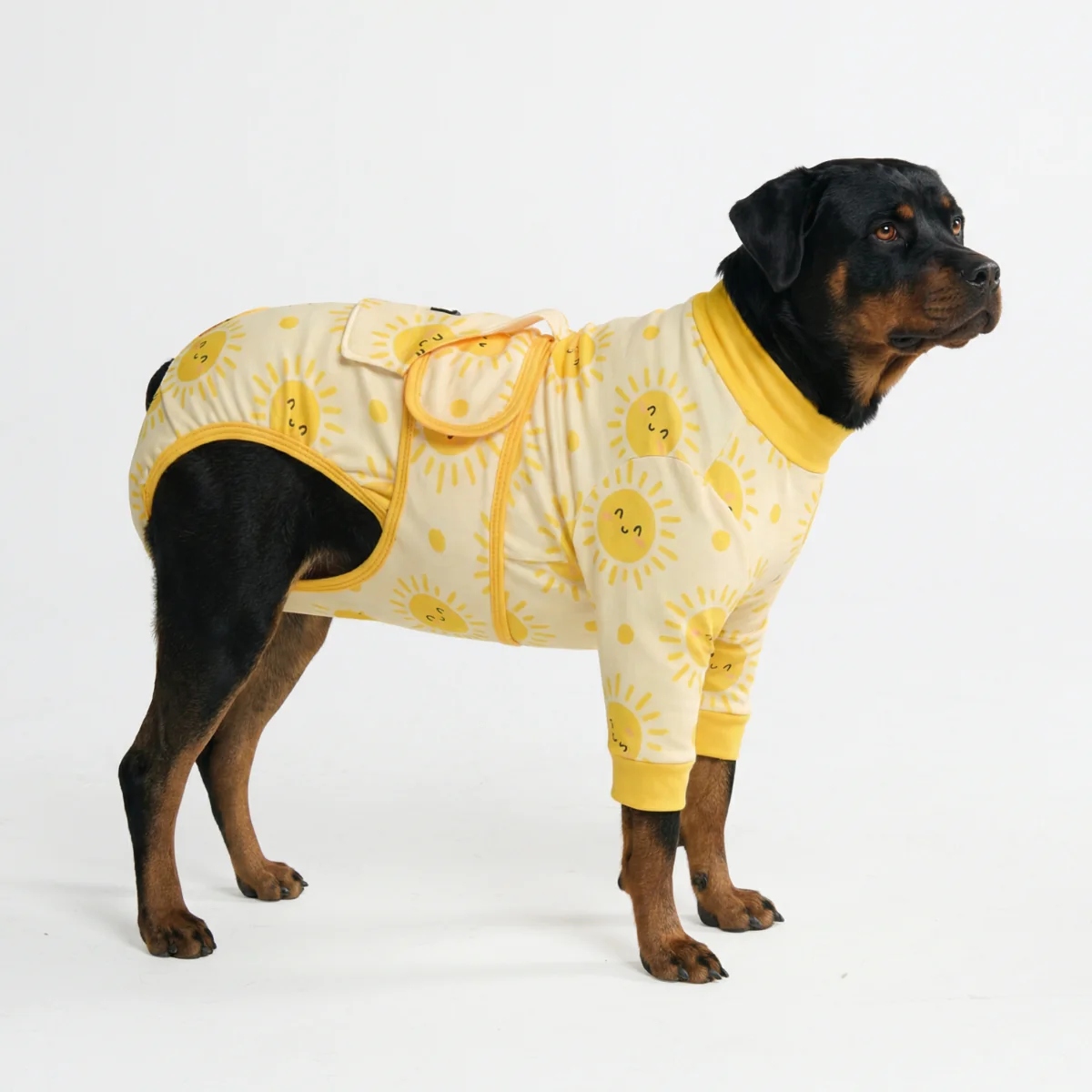 Dog Surgical Suit - Sunshine - Image 6