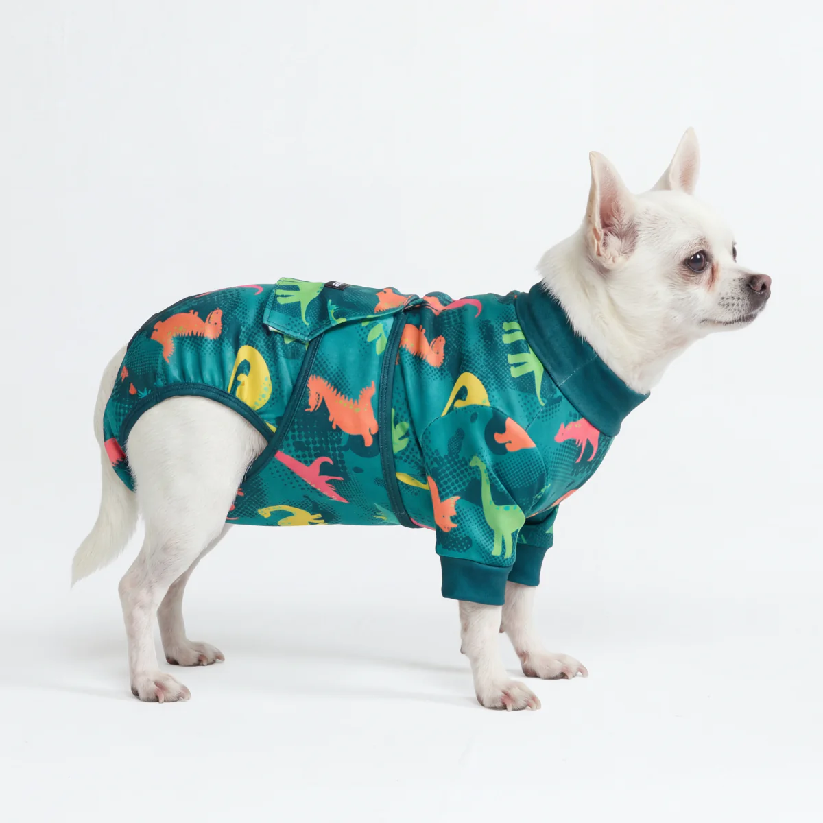 Dog Surgical Suit - Dinosaurs - Image 3