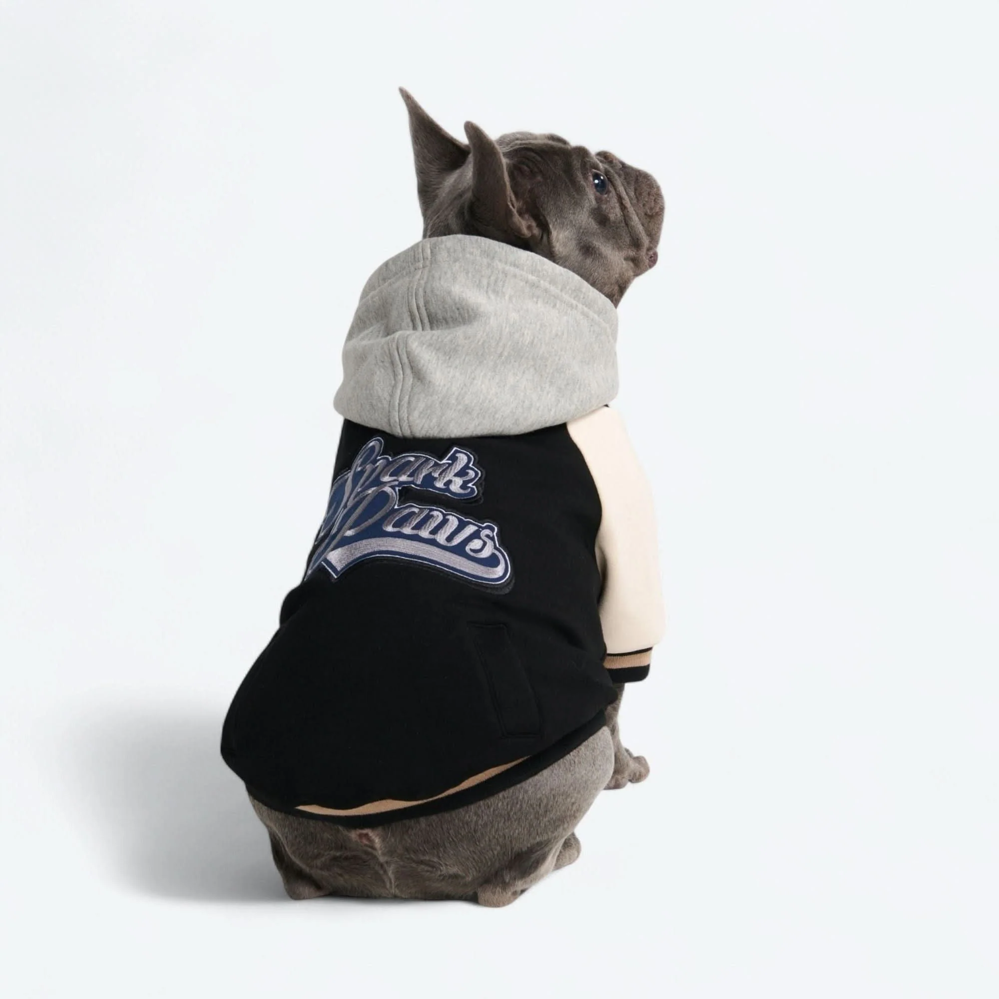 Dog Varsity Jacket - Black - Image 7
