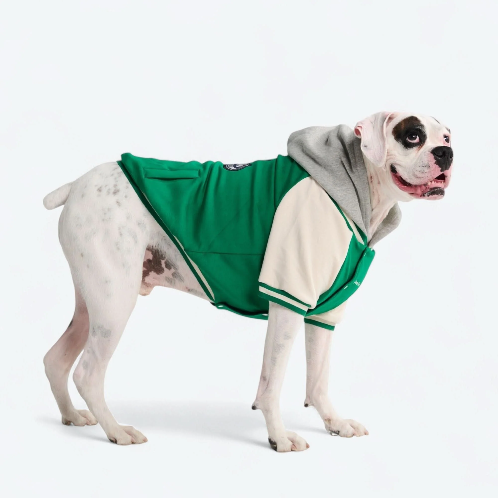 Dog Varsity Jacket - Green - Image 7