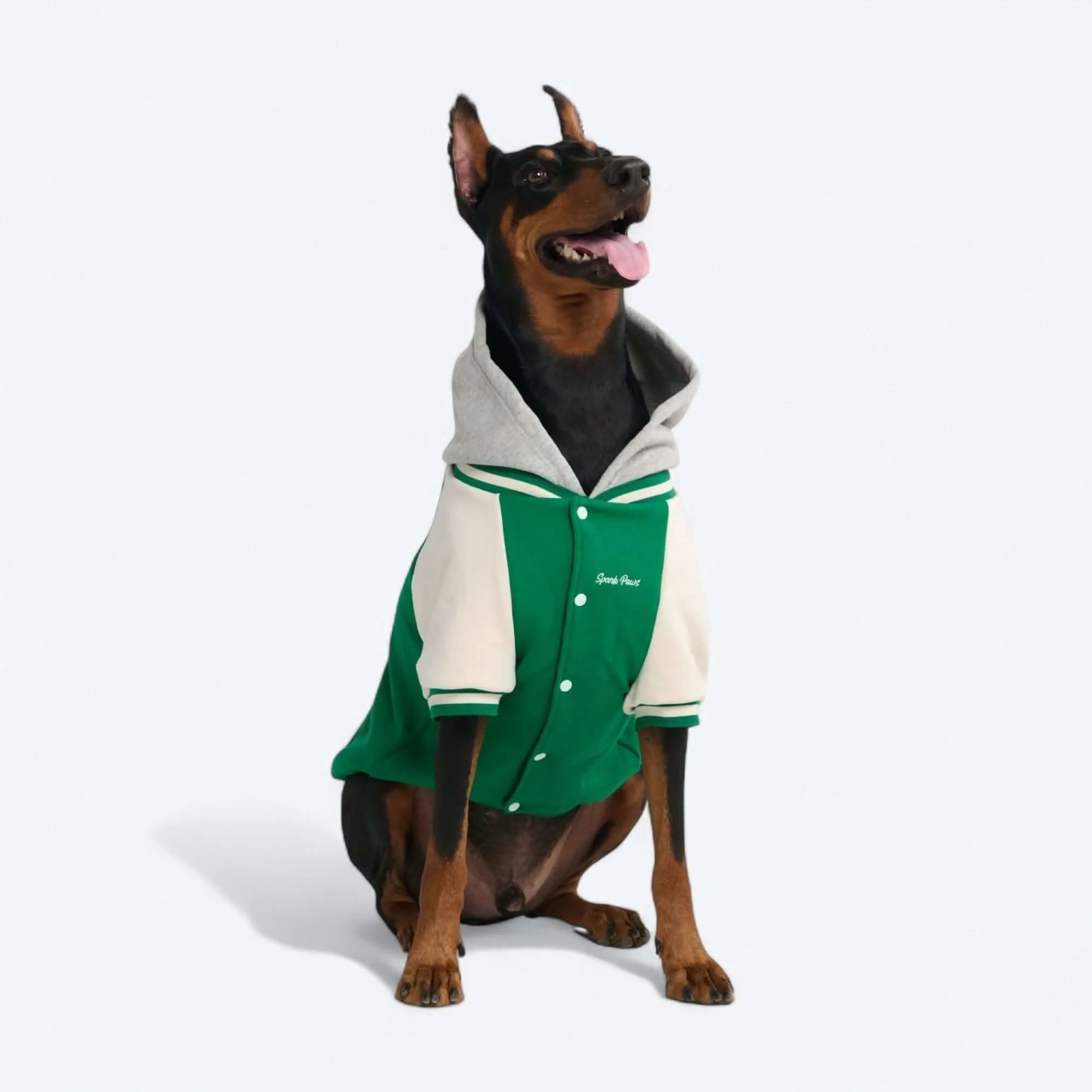 Dog Varsity Jackets - Image 14