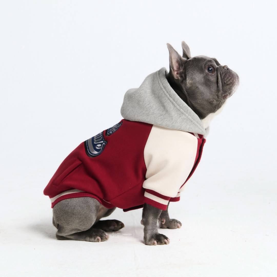 Dog Varsity Jackets - Image 3