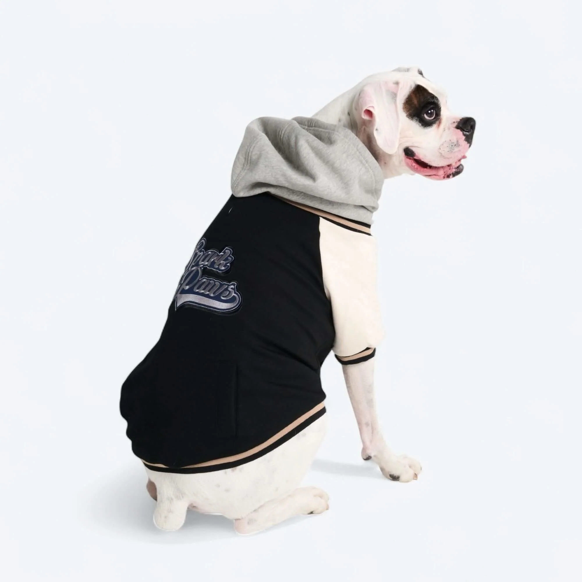Dog Varsity Jackets - Image 32