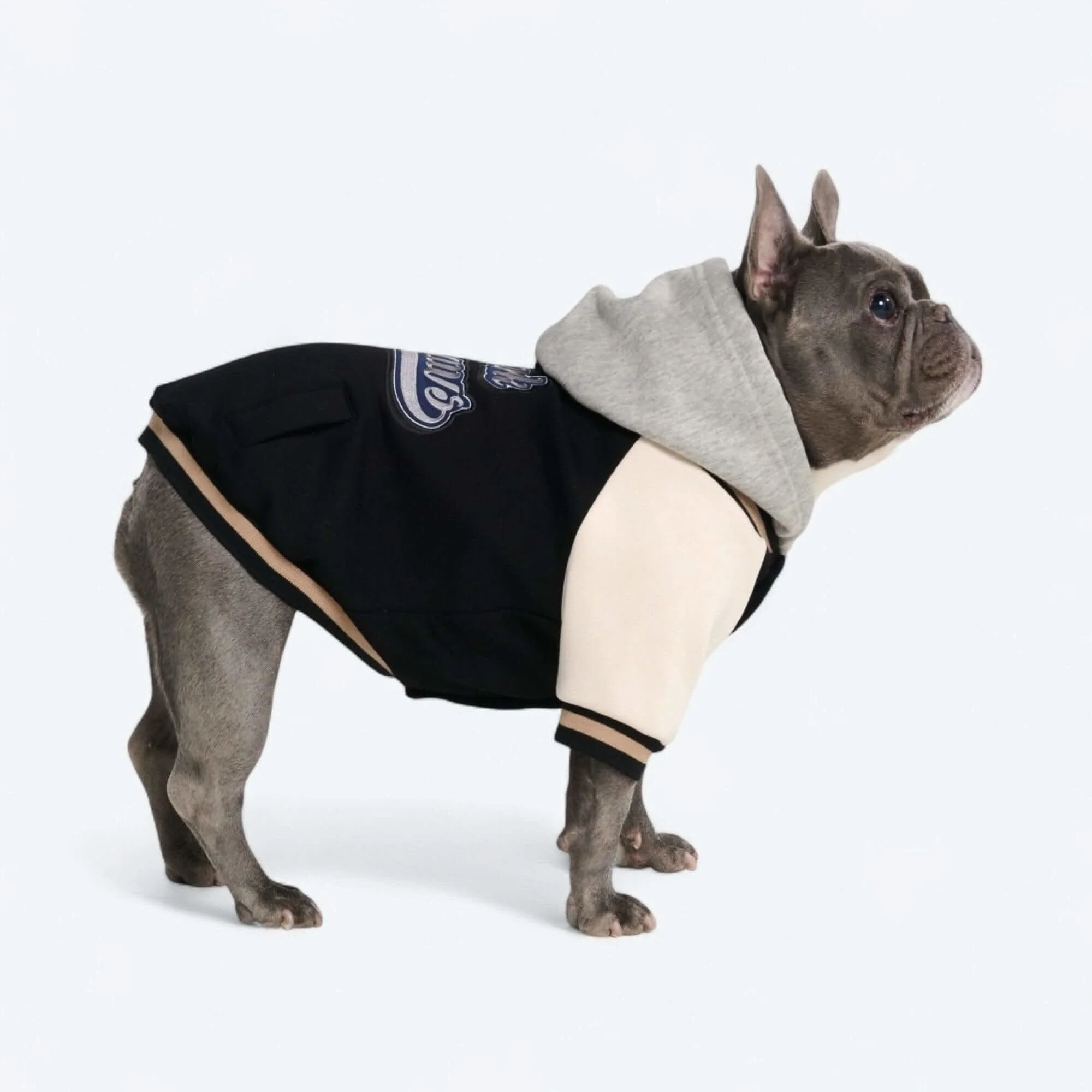 Dog Varsity Jackets - Image 36