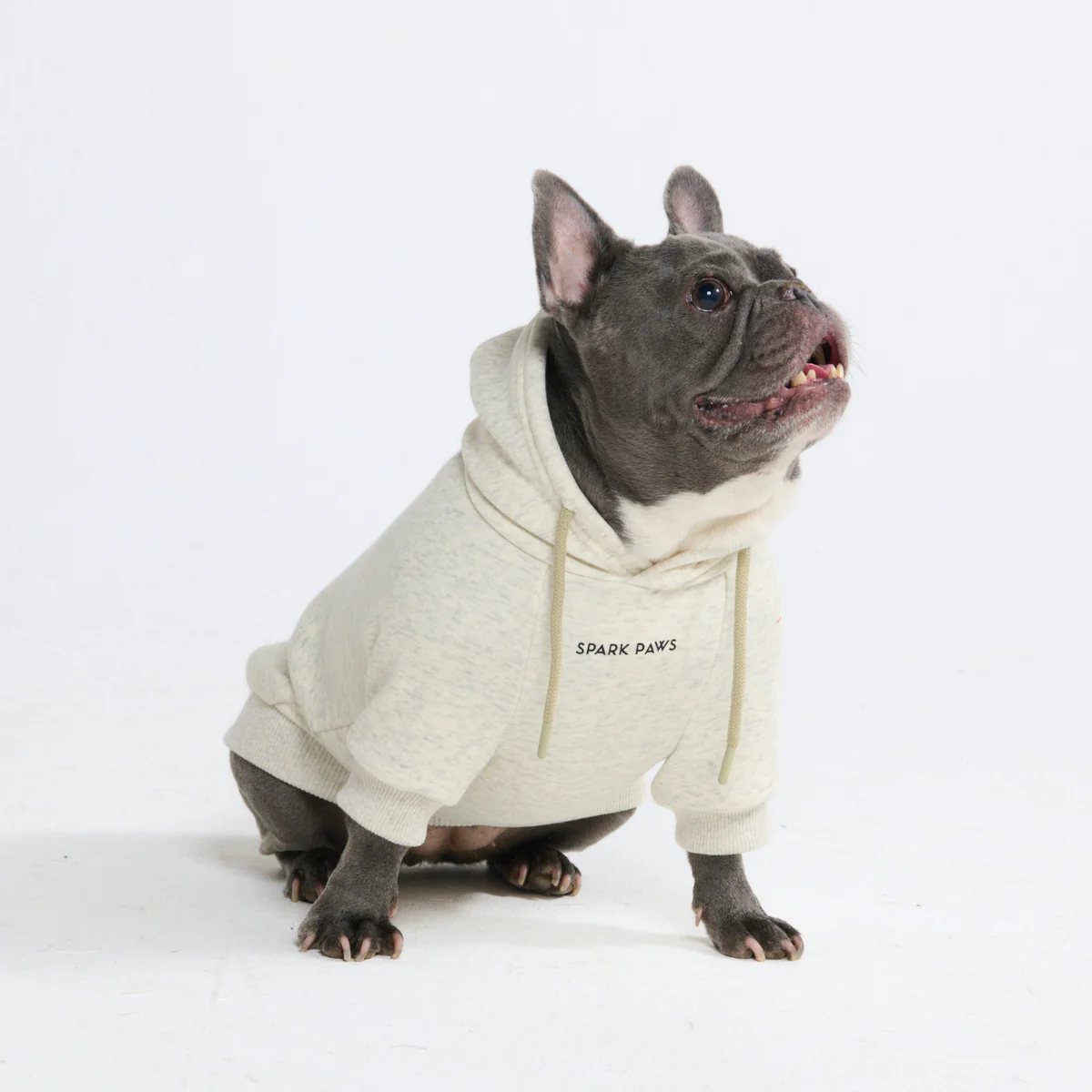 Essential Dog Hoodies - Image 100