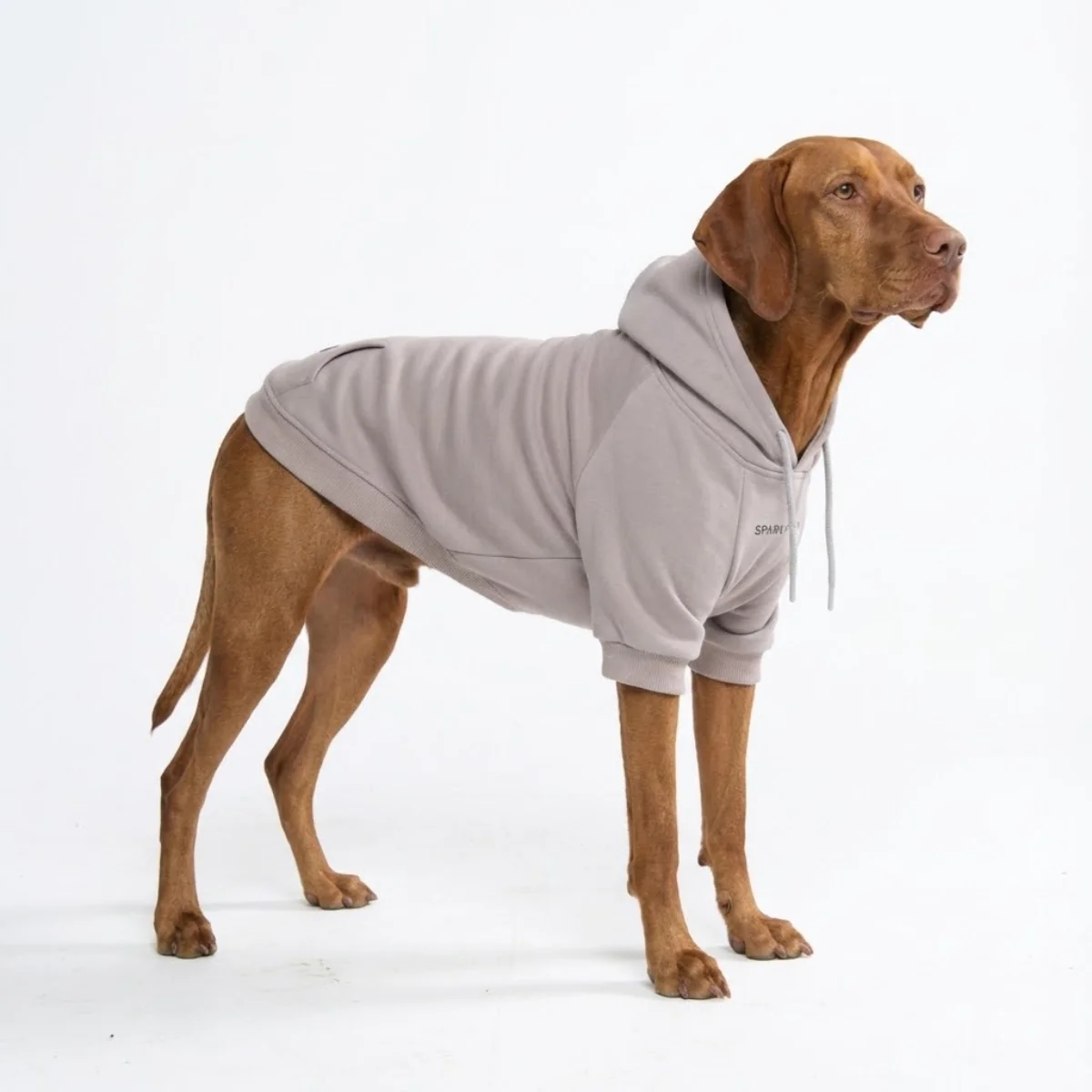 Essential Dog Hoodie - Clay - Image 6