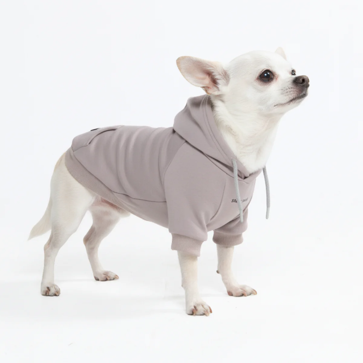 Essential Dog Hoodie - Clay - Image 3