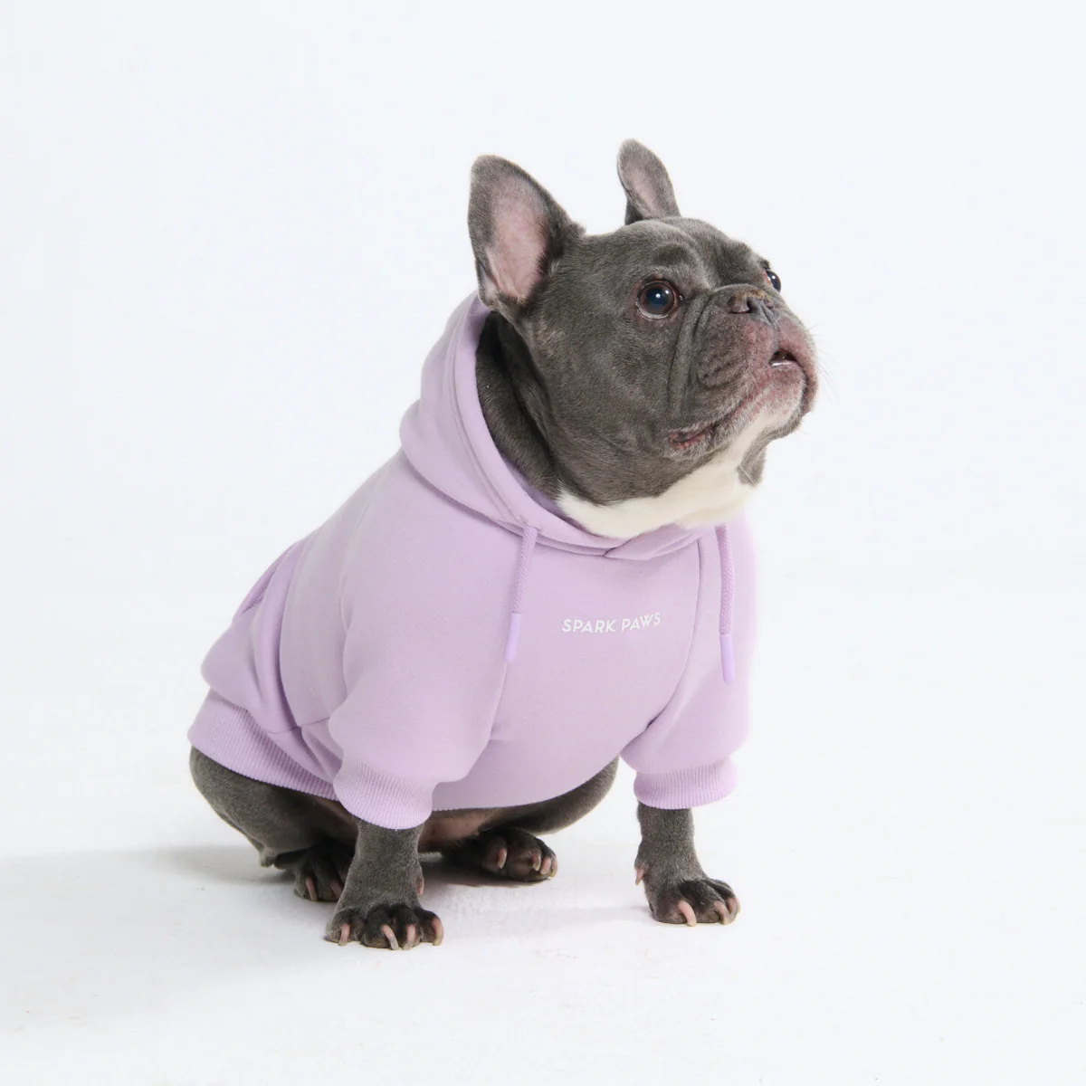 Essential Dog Hoodies - Image 21