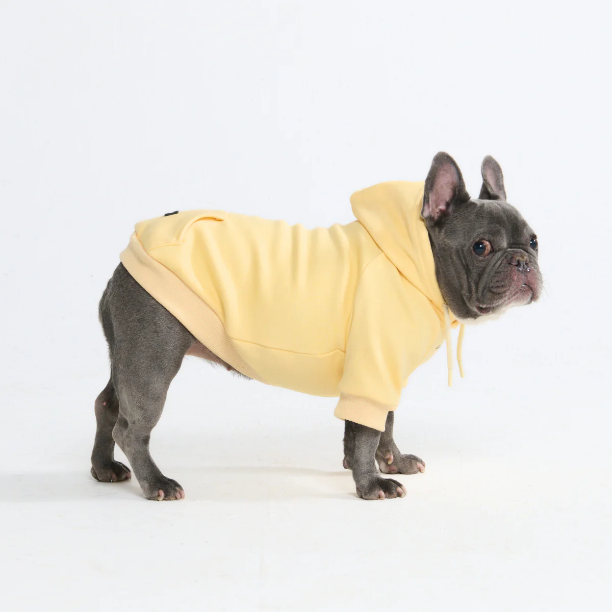 Essential Dog Hoodies - Image 39