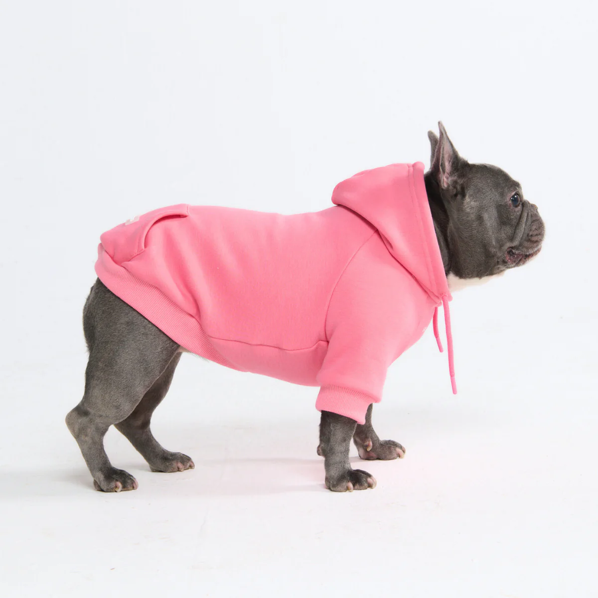 Essential Dog Hoodies - Image 50