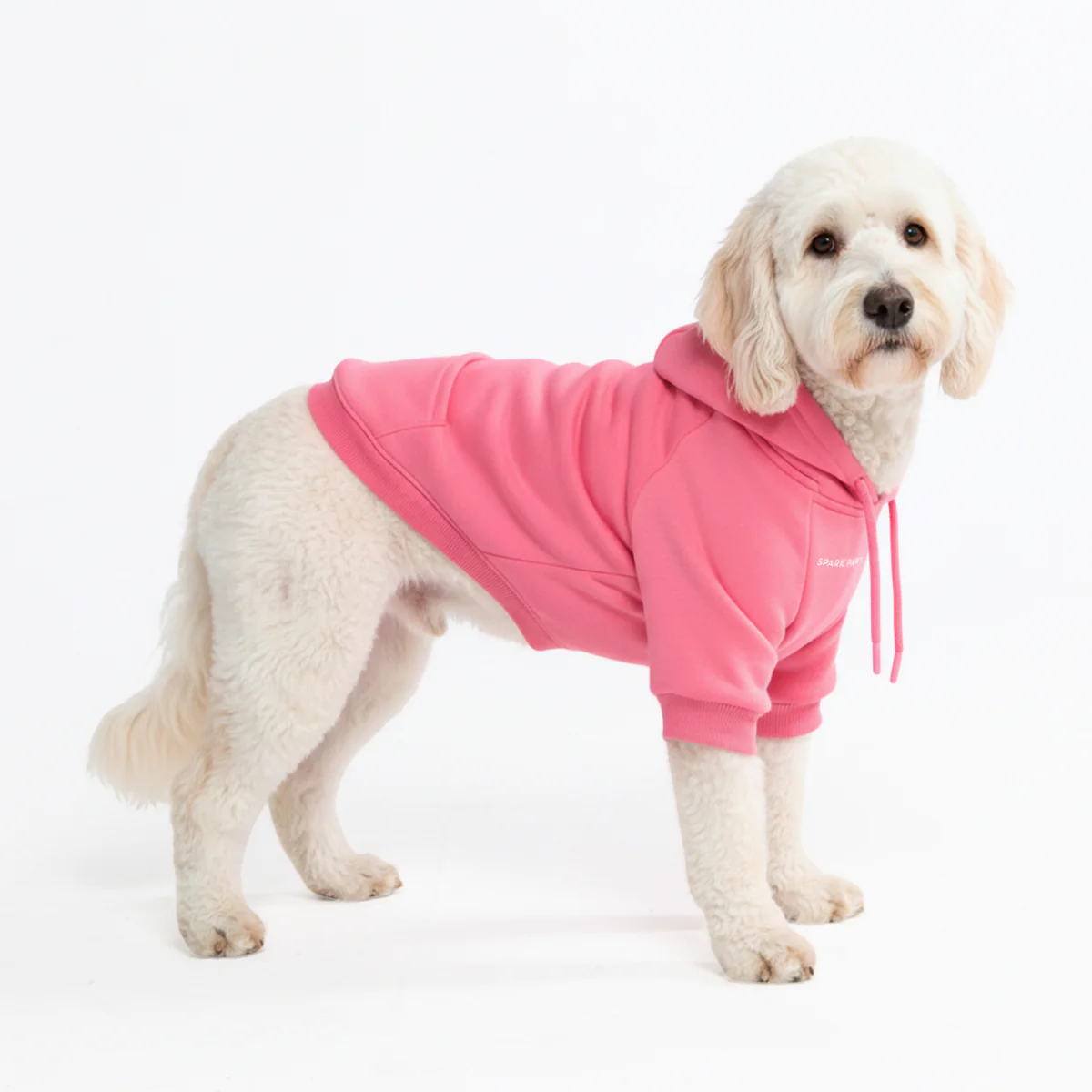 Essential Dog Hoodies - Image 51
