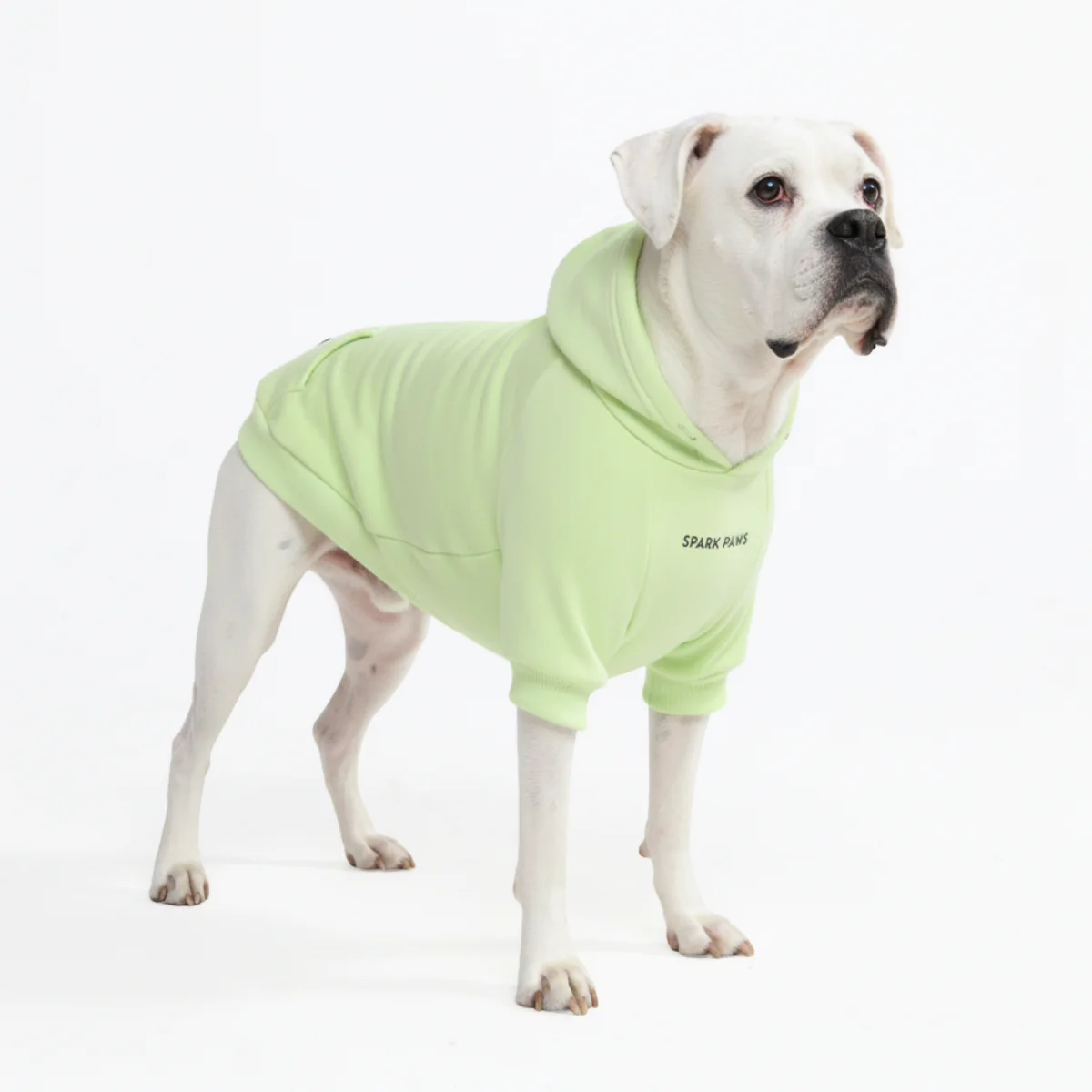 Essential Dog Hoodies - Image 6
