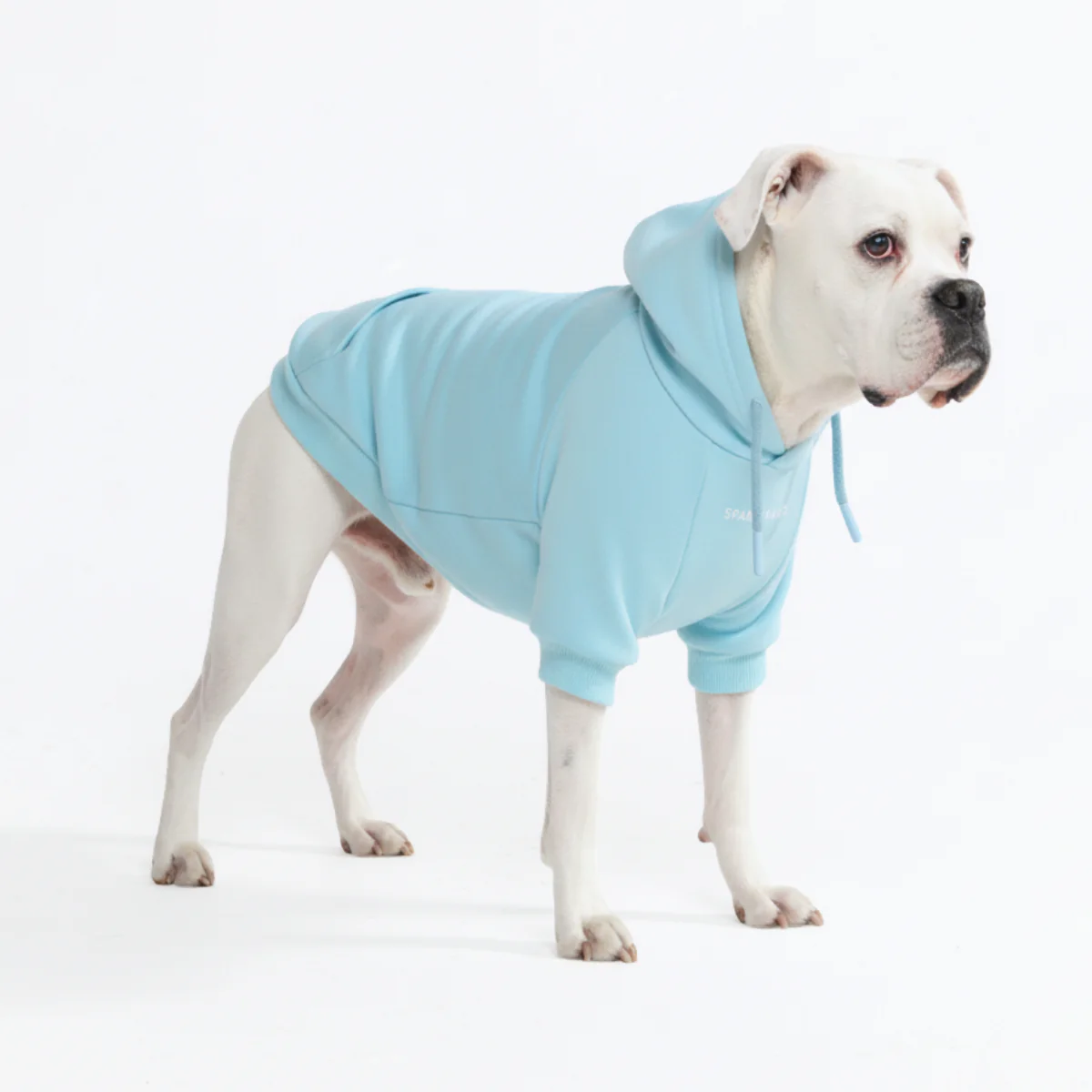 Essential Dog Hoodies - Image 63