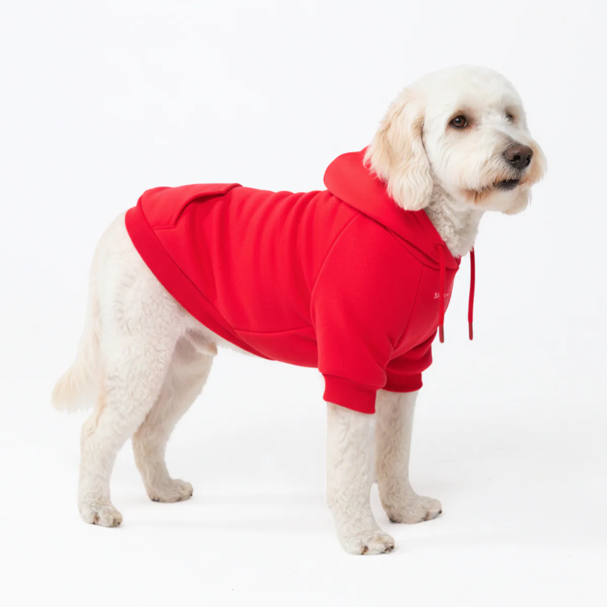 Essential Dog Hoodies - Image 72