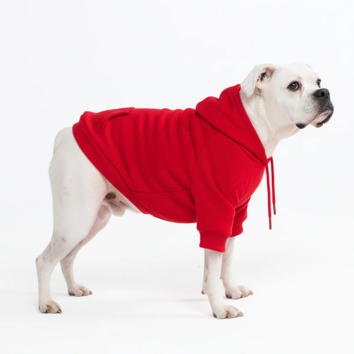 Essential Dog Hoodies - Image 73