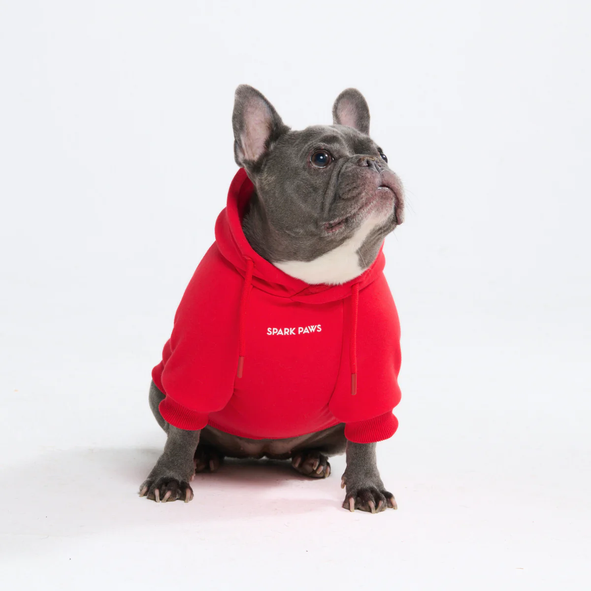 Essential Dog Hoodies - Image 77