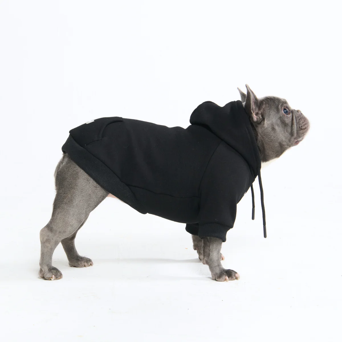 Essential Dog Hoodie - Black - Image 4