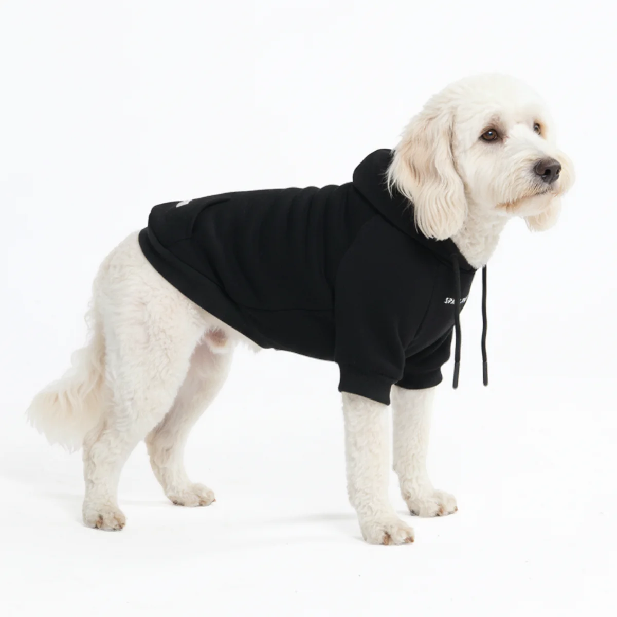 Essential Dog Hoodie - Black - Image 5