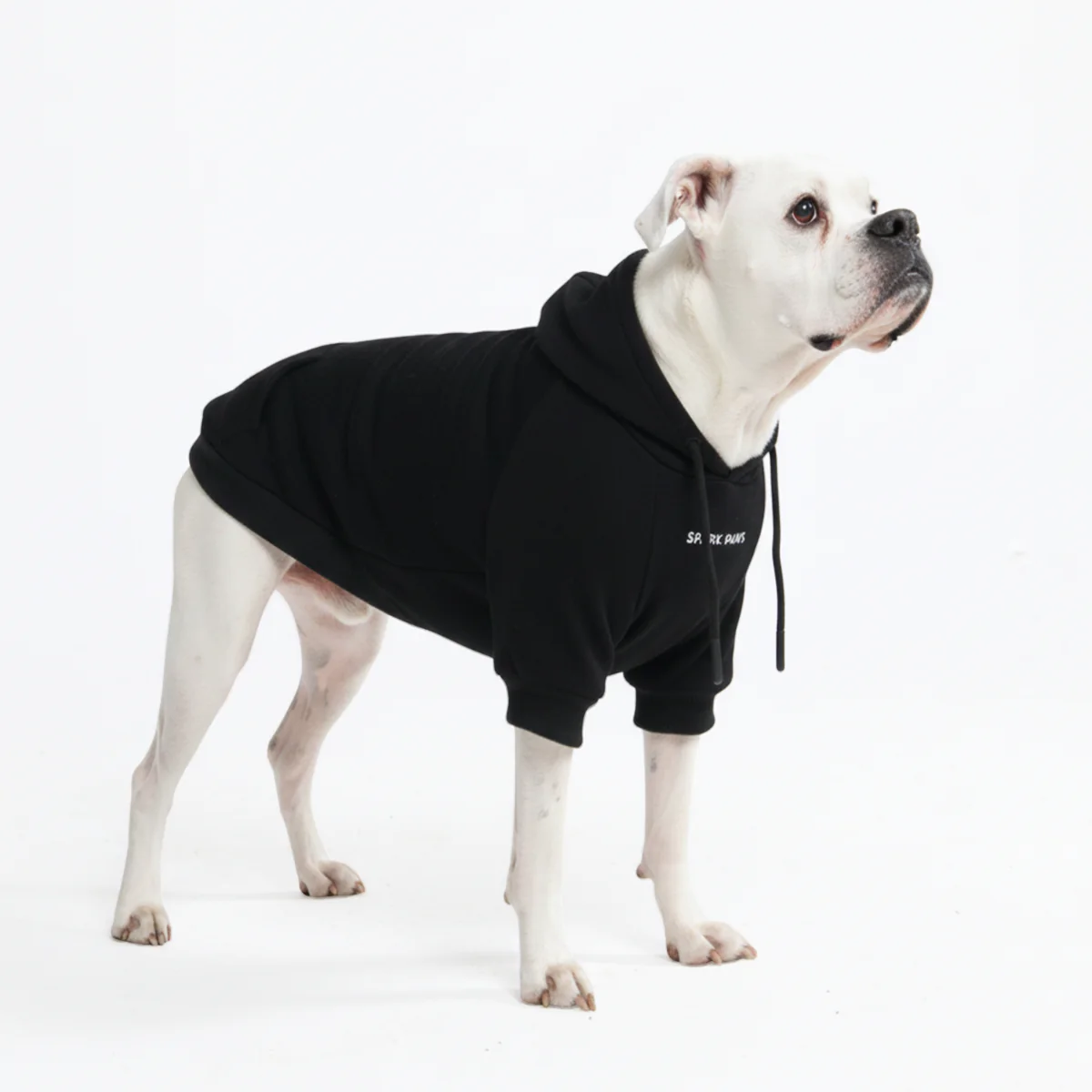 Essential Dog Hoodie - Black - Image 6