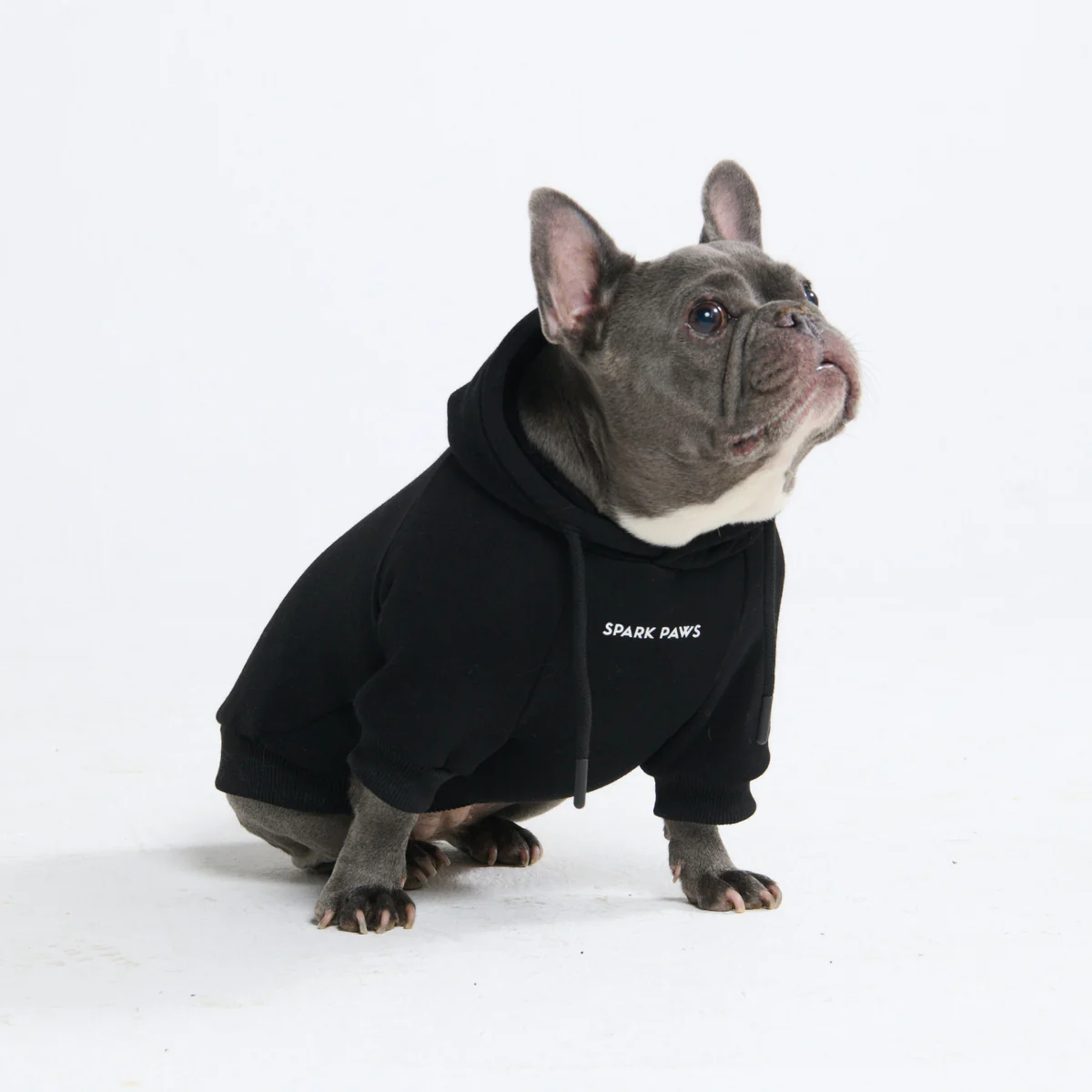 Essential Dog Hoodie - Black - Image 10