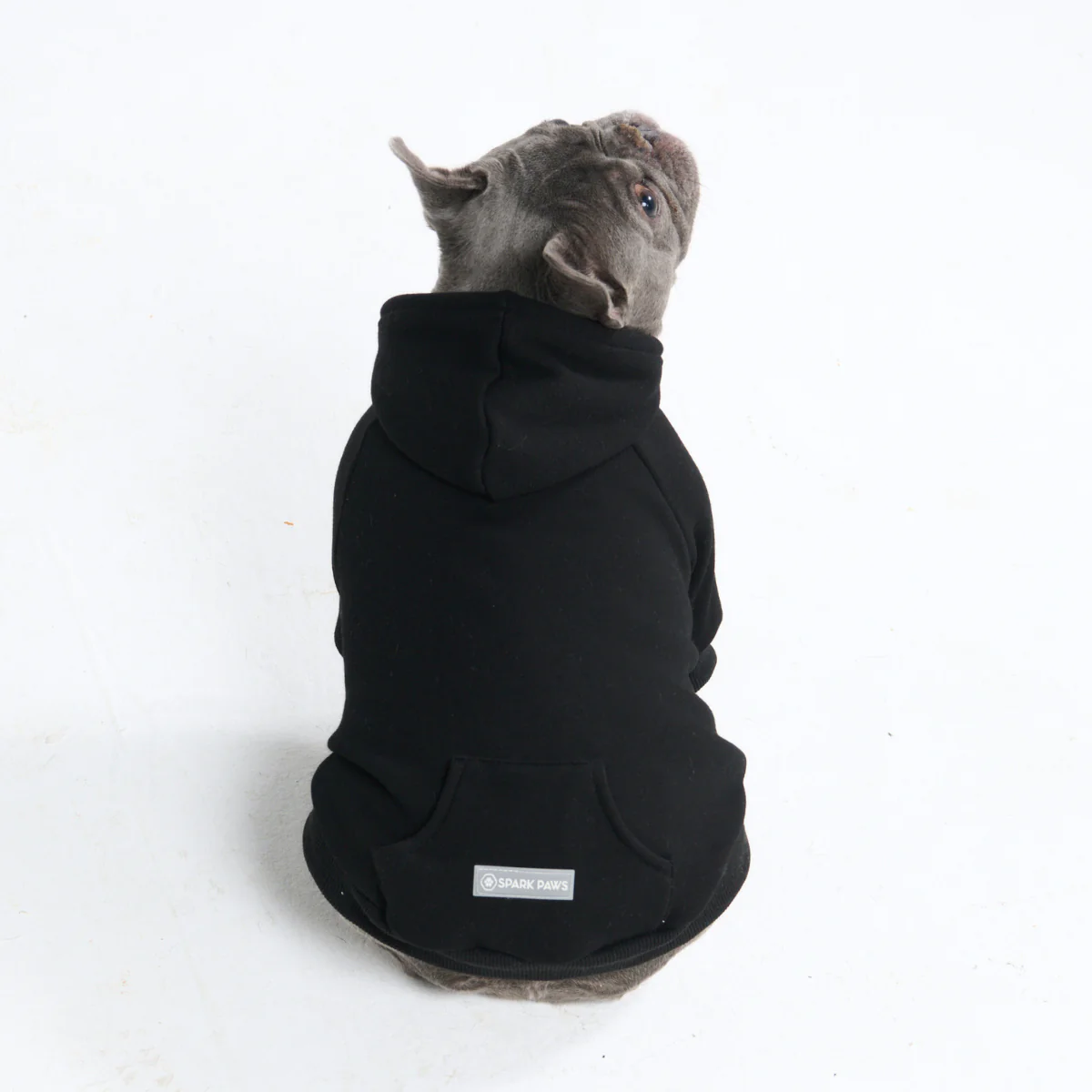 Essential Dog Hoodie - Black - Image 9