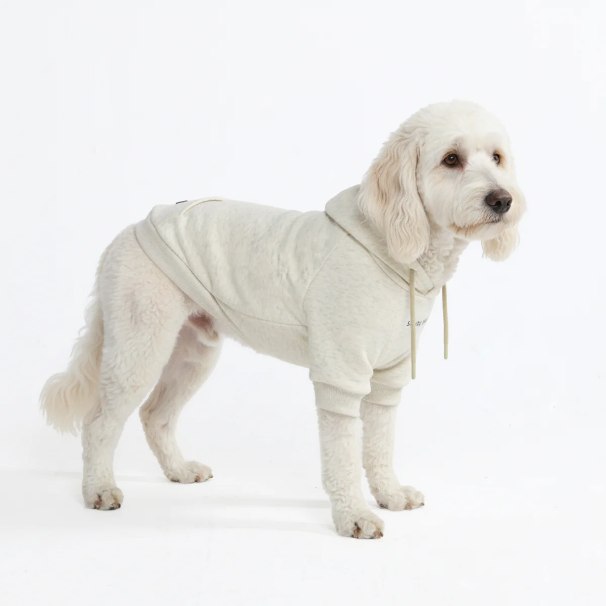 Essential Dog Hoodies - Image 94
