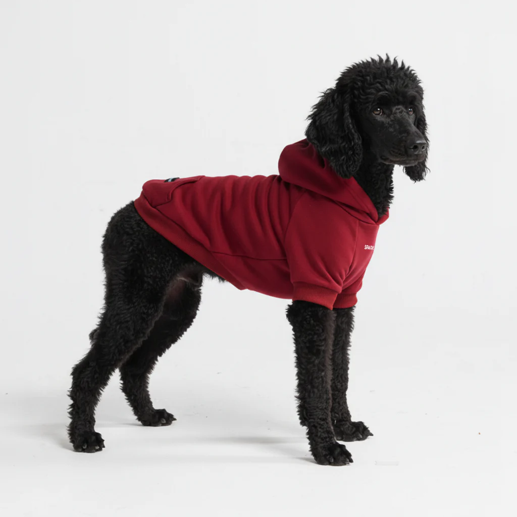Essential Dog Hoodie - Burgundy - Image 6
