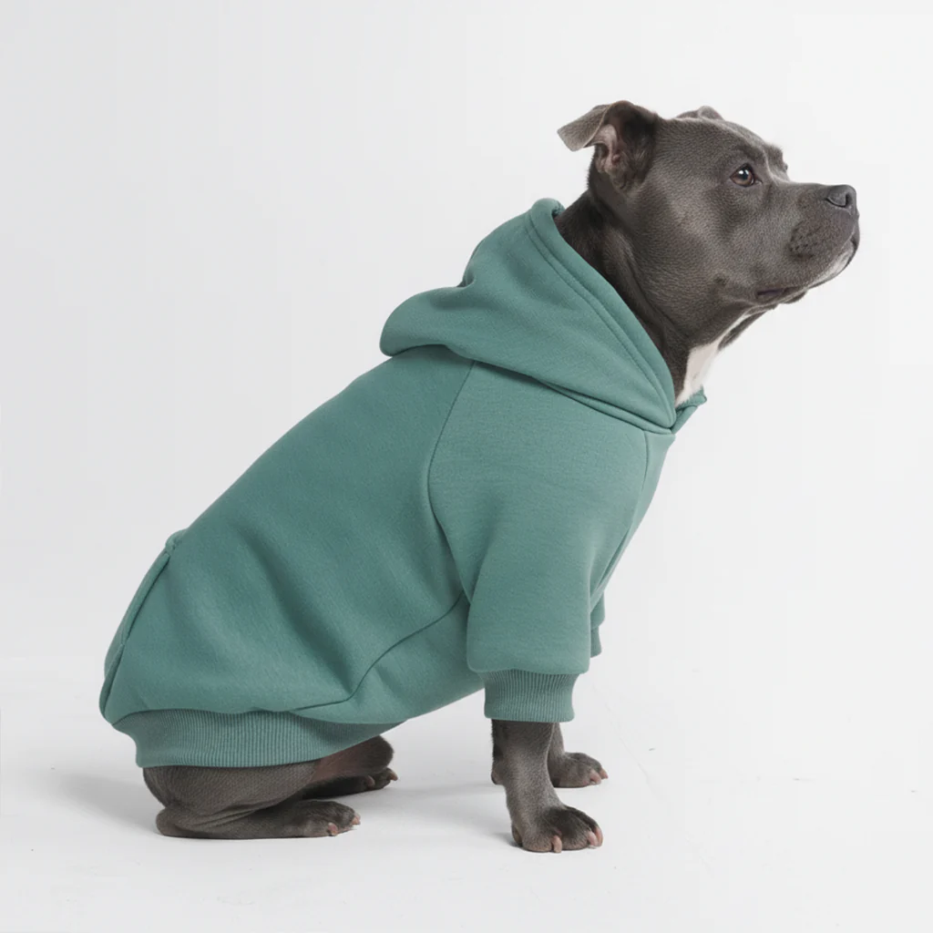 Essential Dog Hoodie - Teal - Image 6
