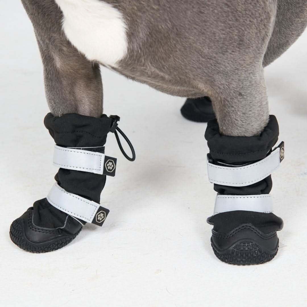 Dog Rainboots, Waterproof Dog Shoes - Black (2) - Image 7