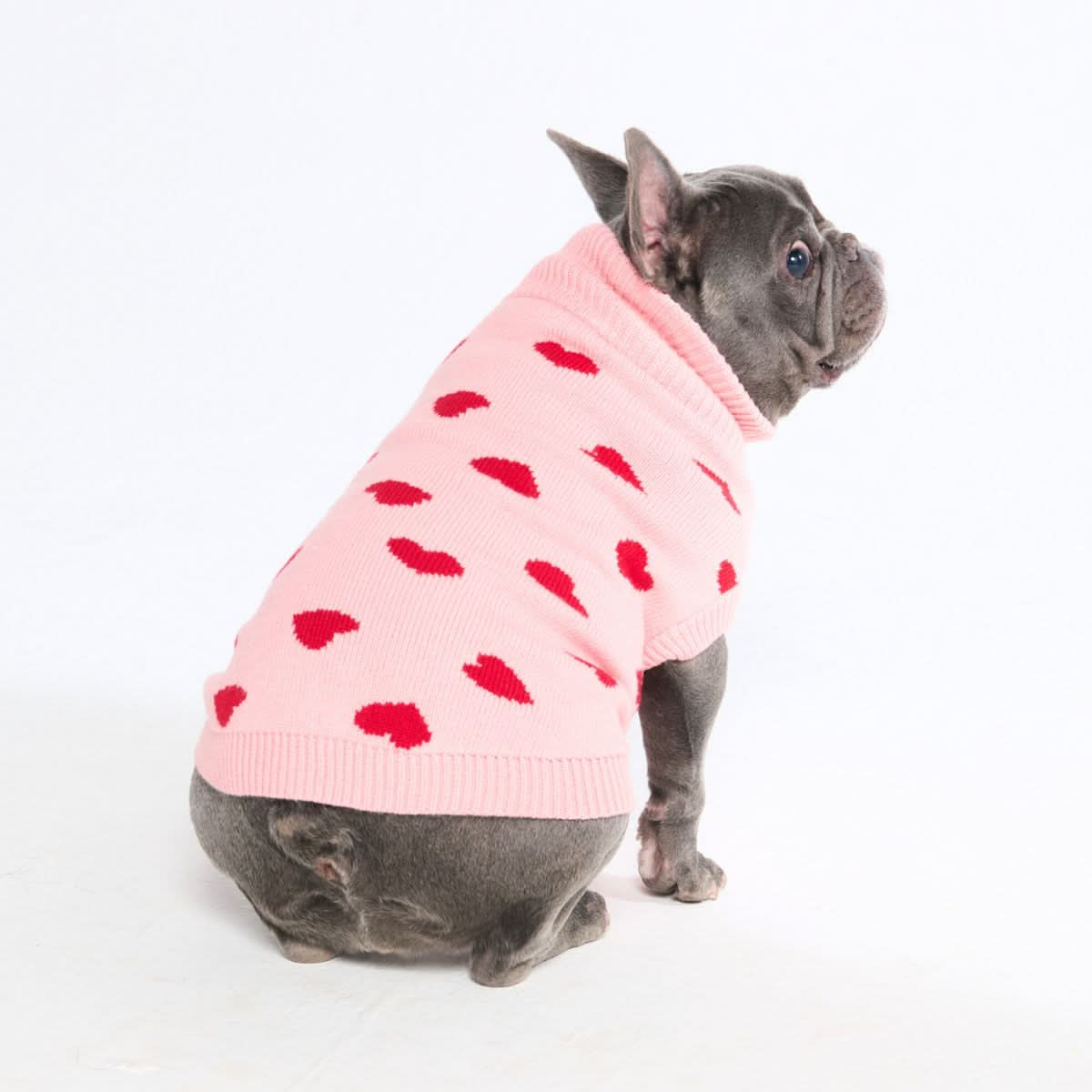Knit Dog Sweater Prints - Image 29