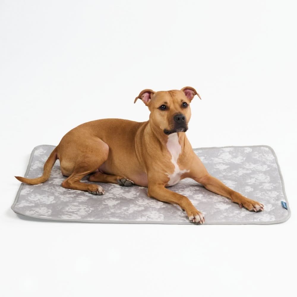 Frostcore™ Cooling Mat - Image 25
